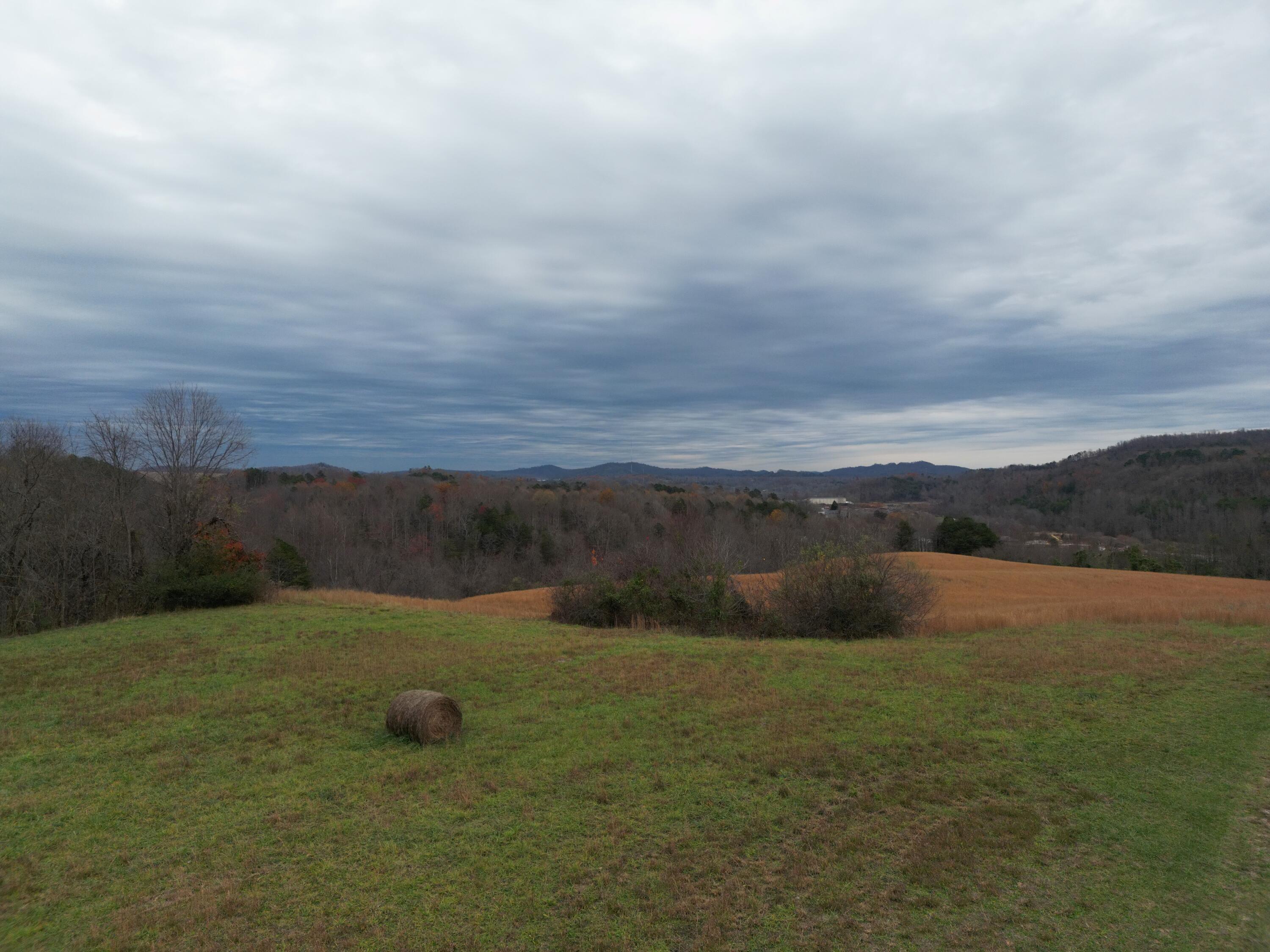 Image 1: DJI_0809
