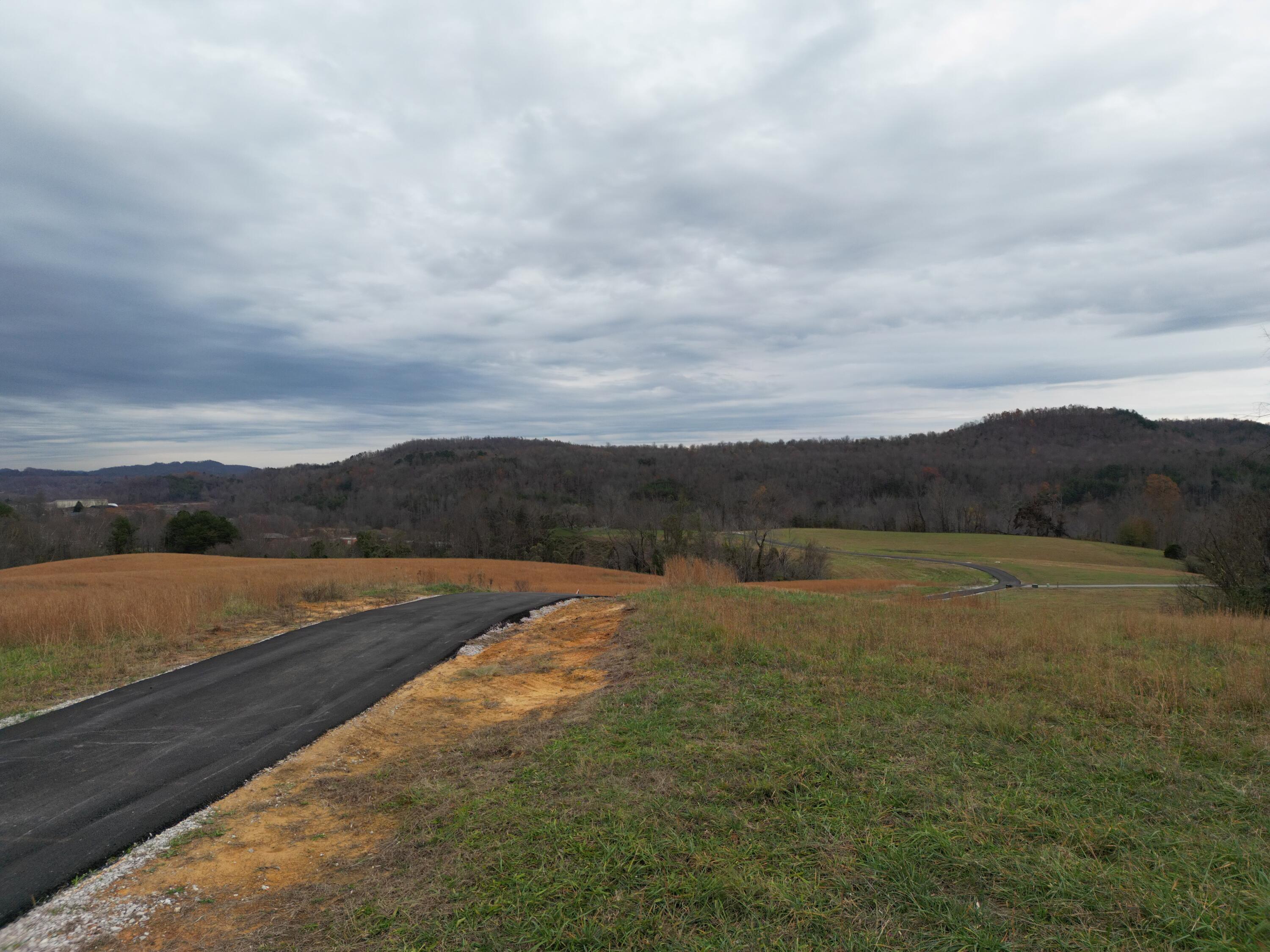Image 2: DJI_0810