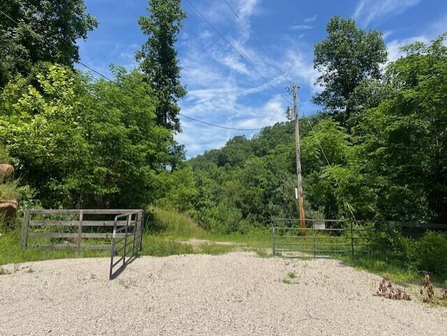 Image 2: thumbnail_IMG_9180