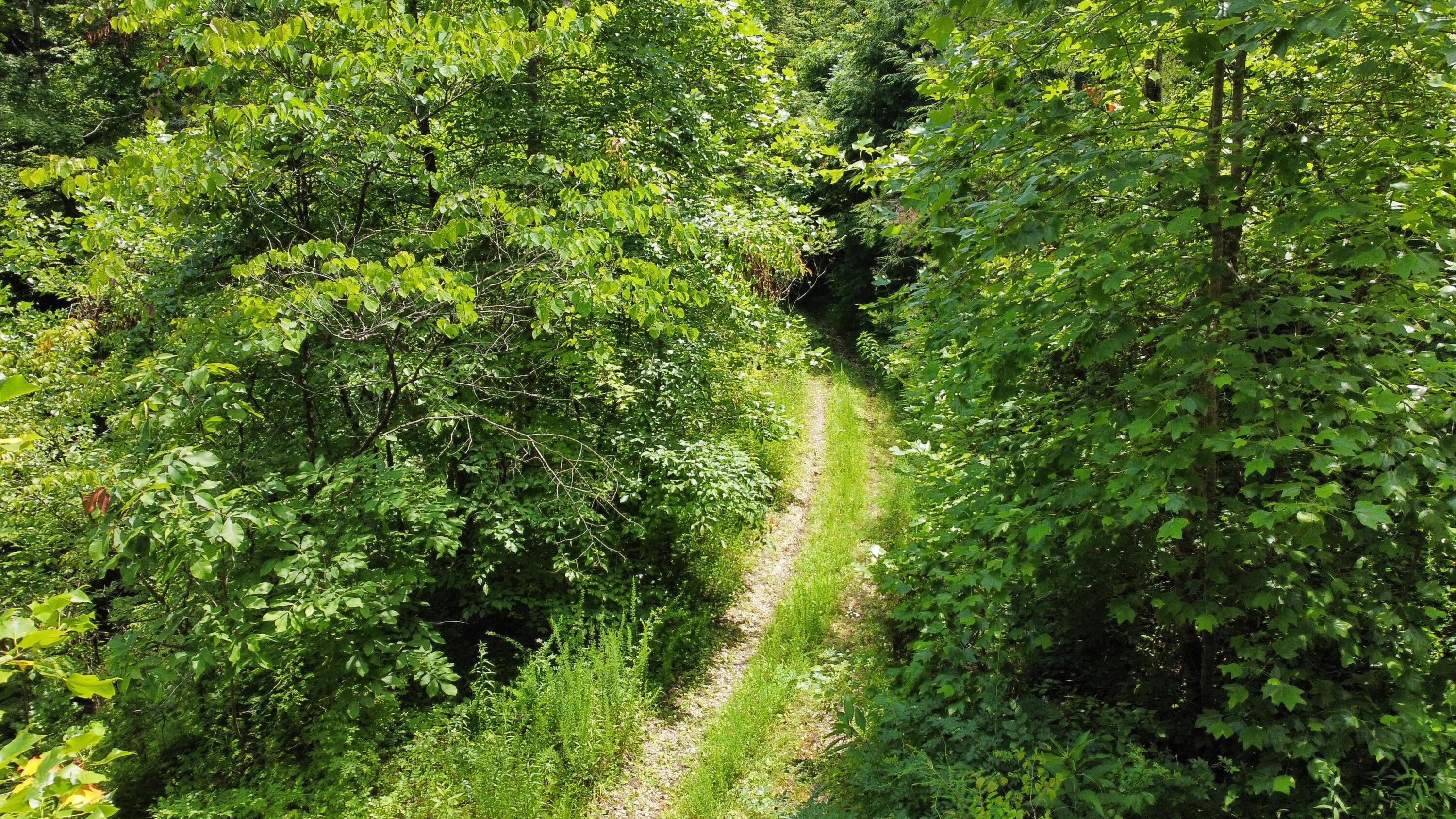 Image 1: dji_fly_20250702_121318_795_175147365226