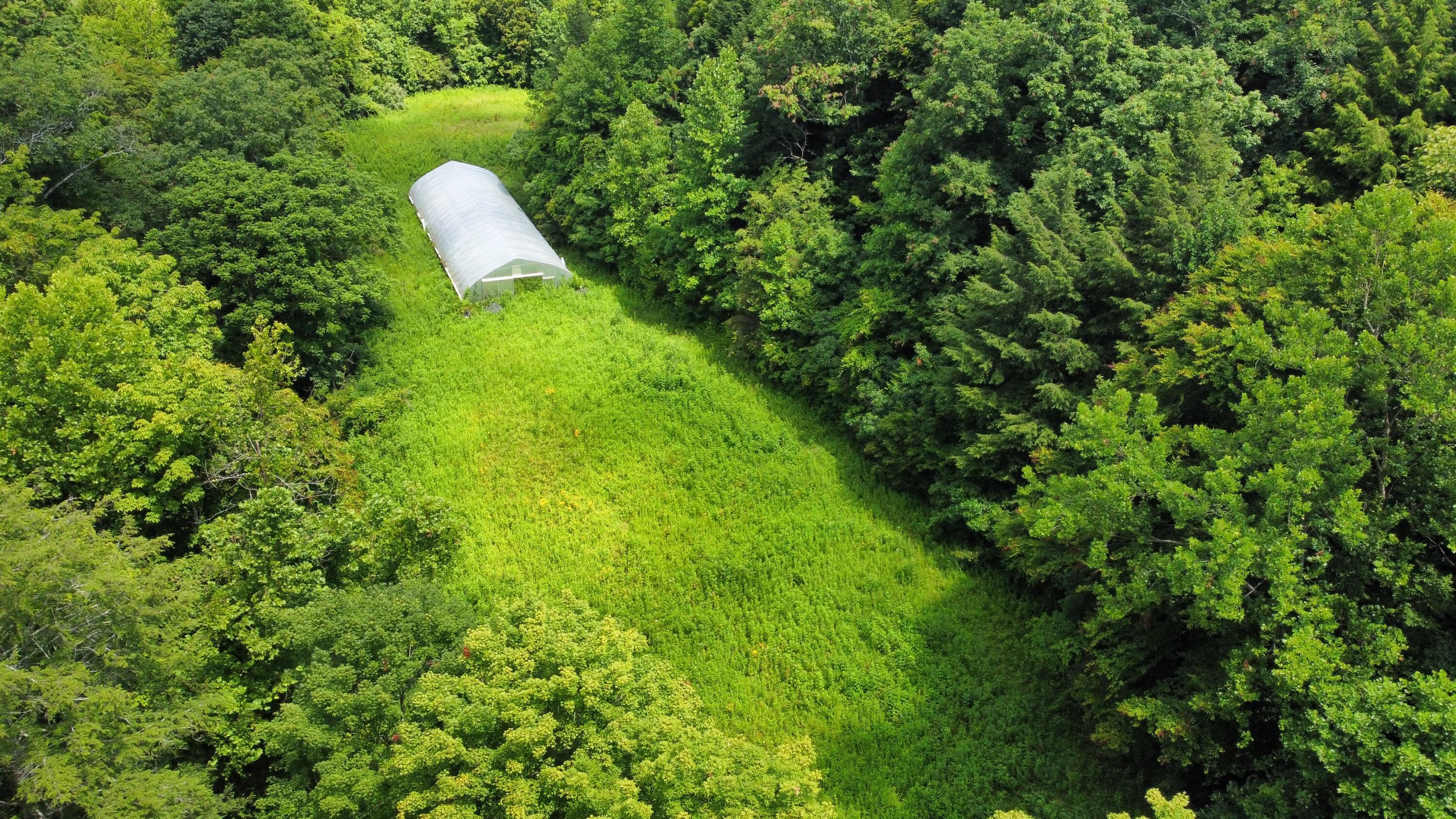 Image 2: dji_fly_20250702_121348_796_175147364893