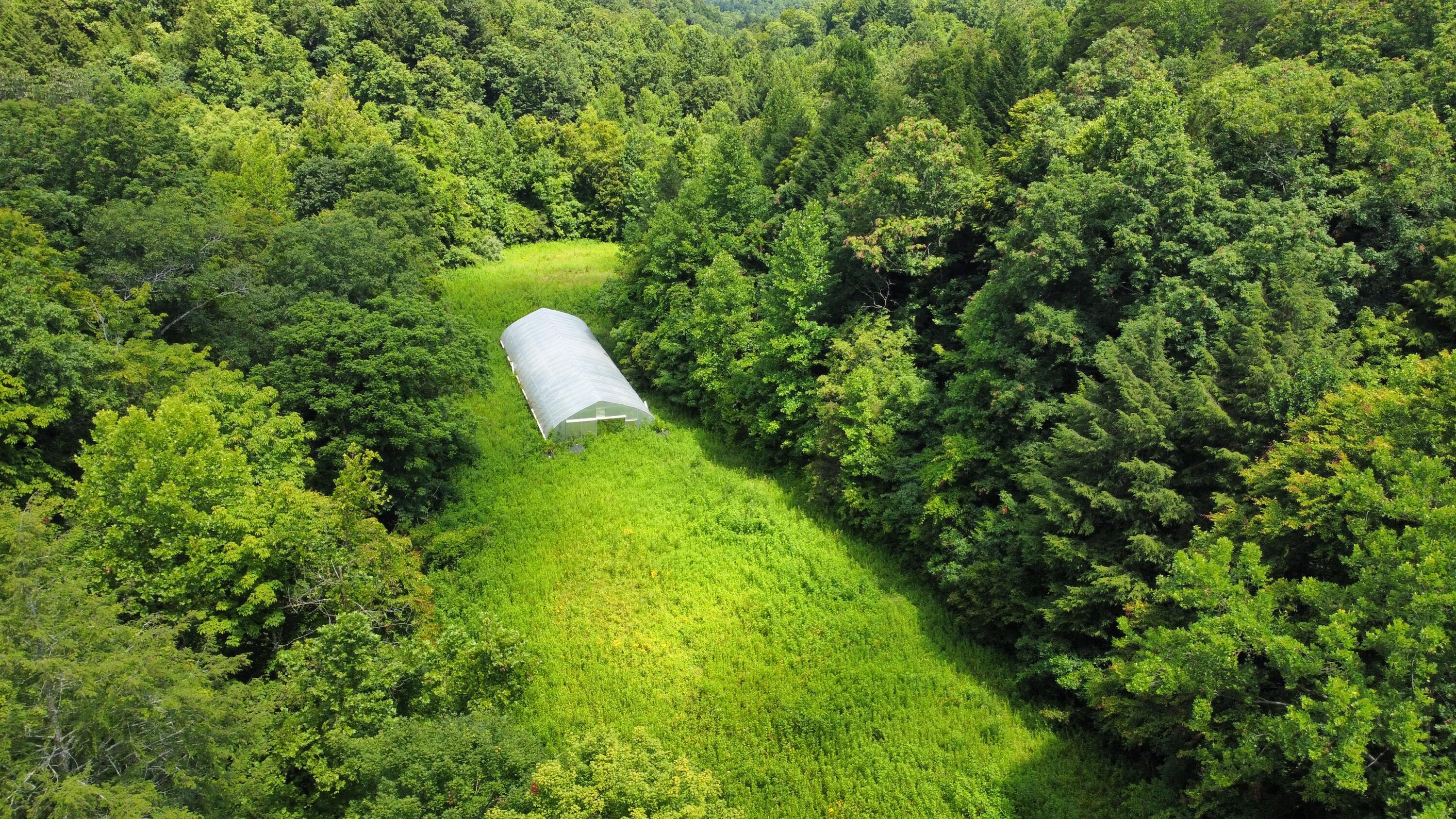 Image 3: dji_fly_20250702_121352_797_175147364198