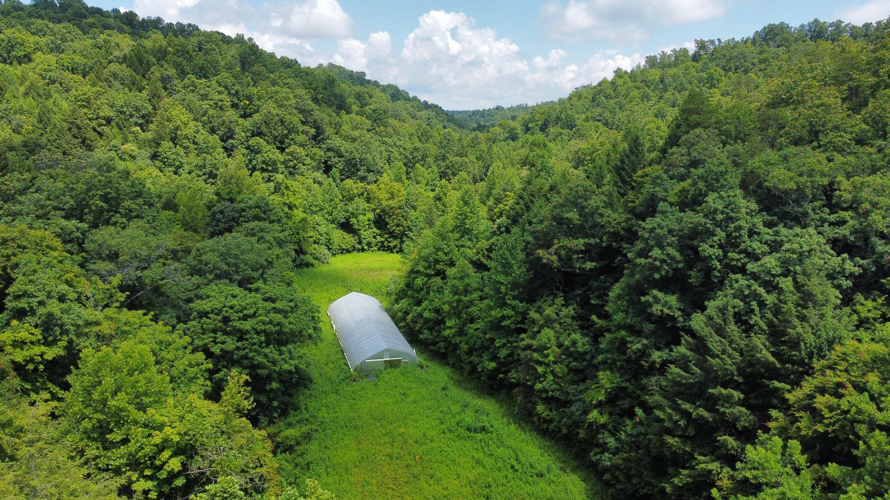 Image 4: dji_fly_20250702_121418_798_175147363906