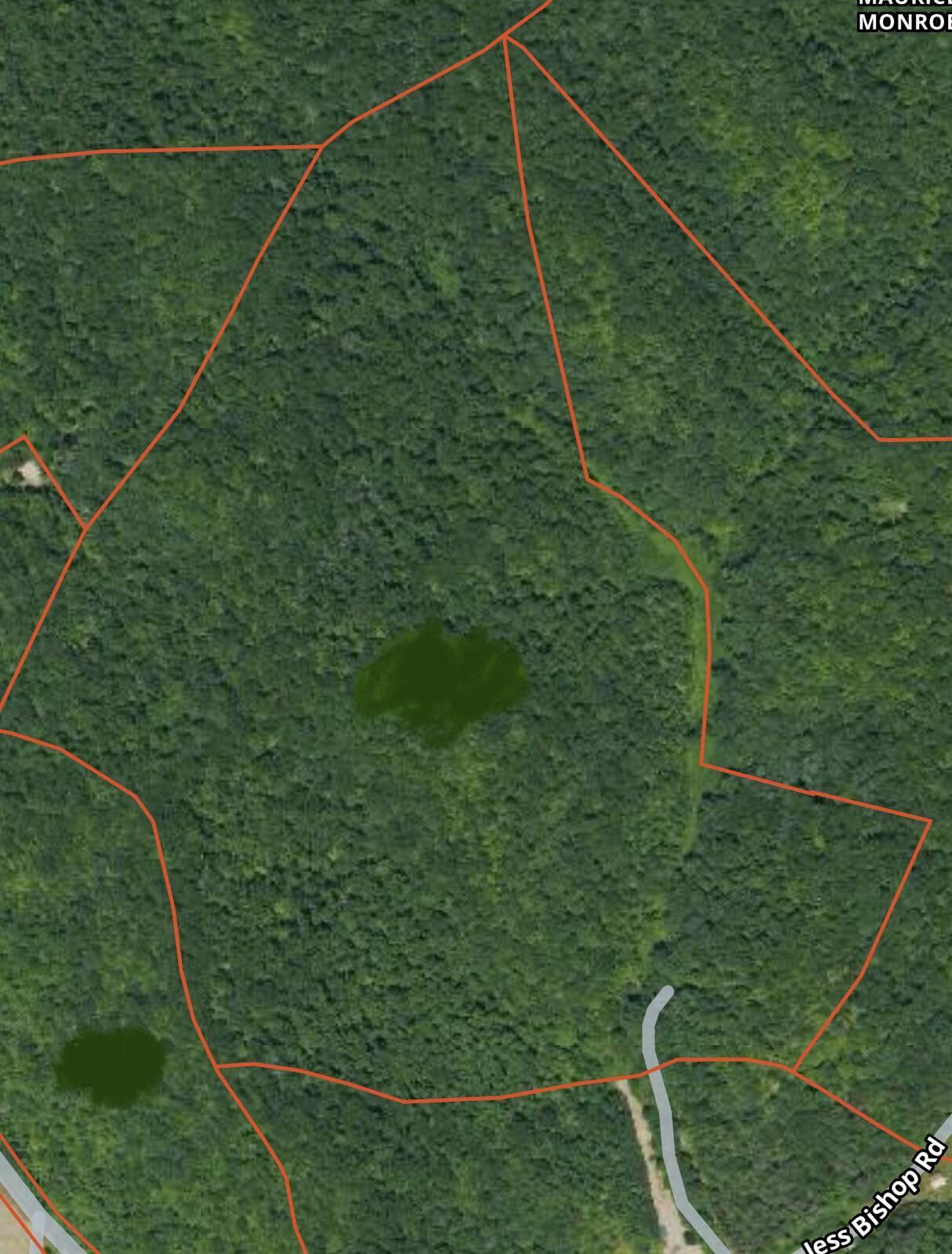 Image 1: Area
