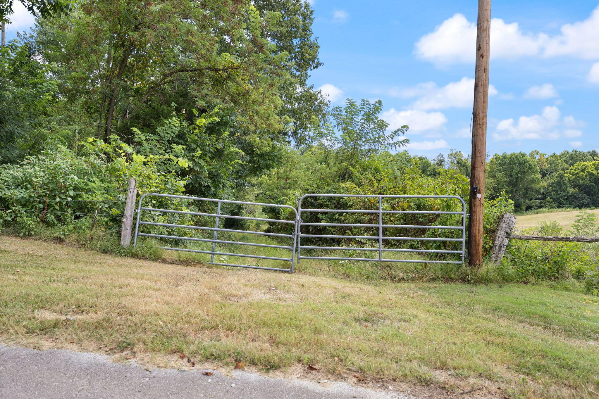 Image 3: 3-web-or-mls-413A1683