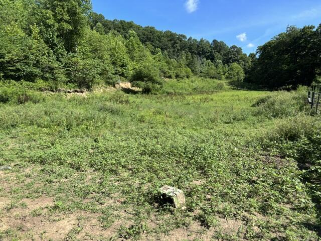 Image 3: Acreage