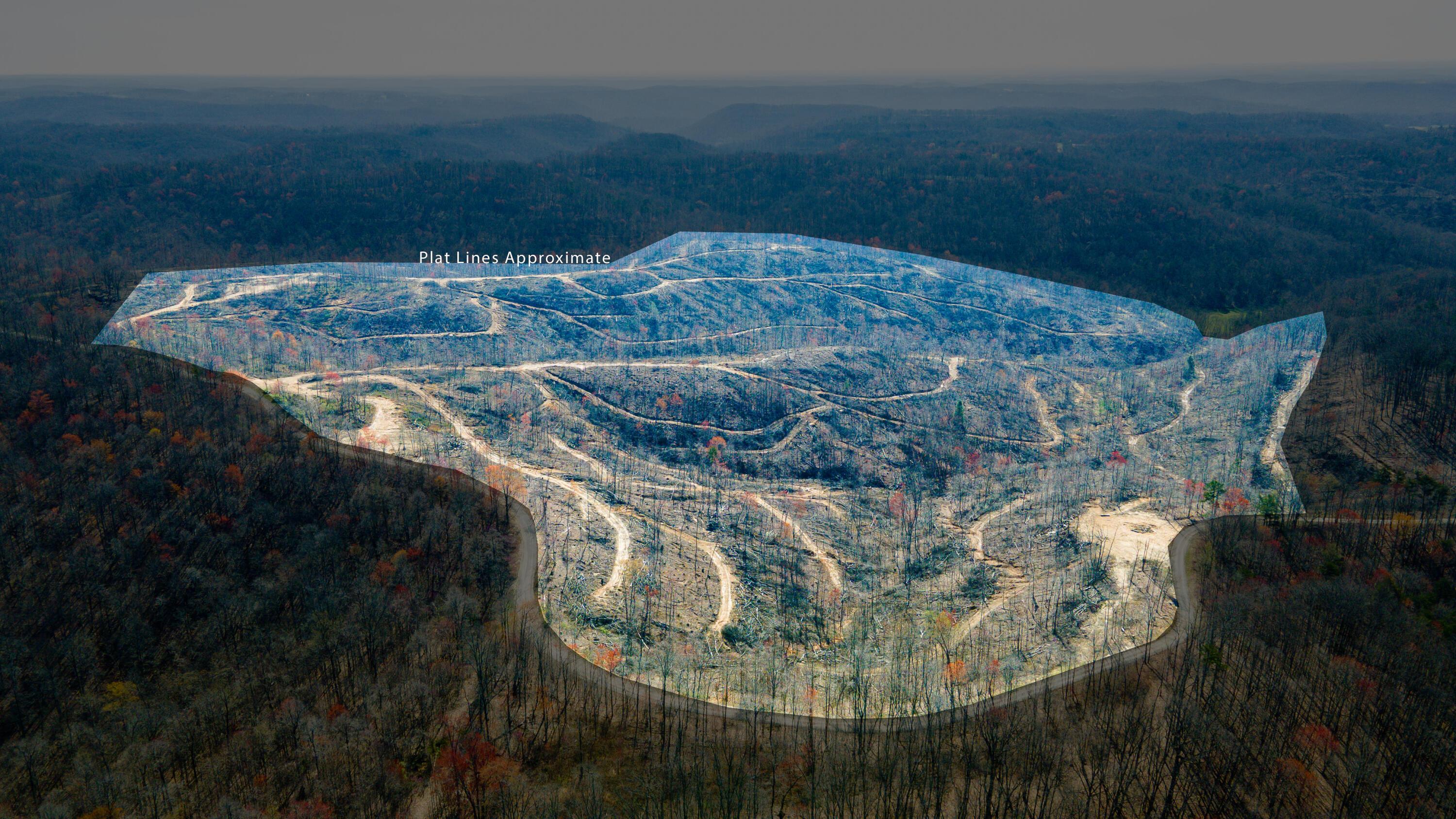 Image 2: Rockcastle Plot-13