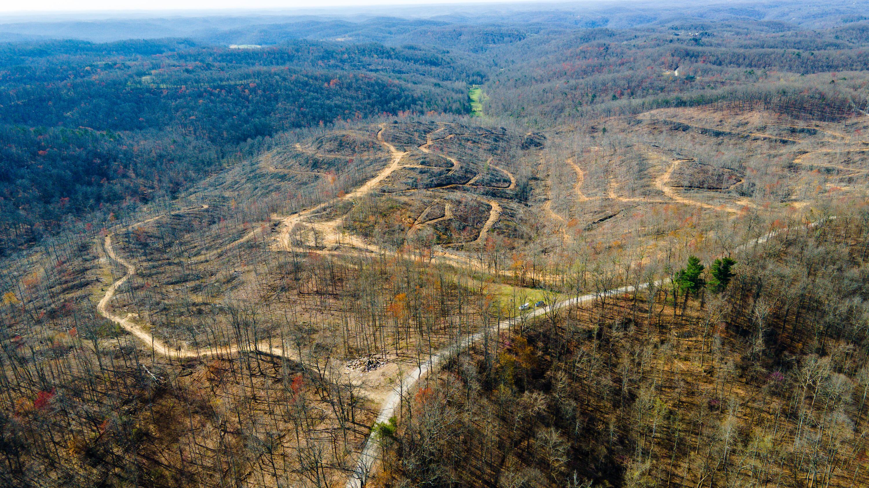Image 3: Rockcastle Plot-01