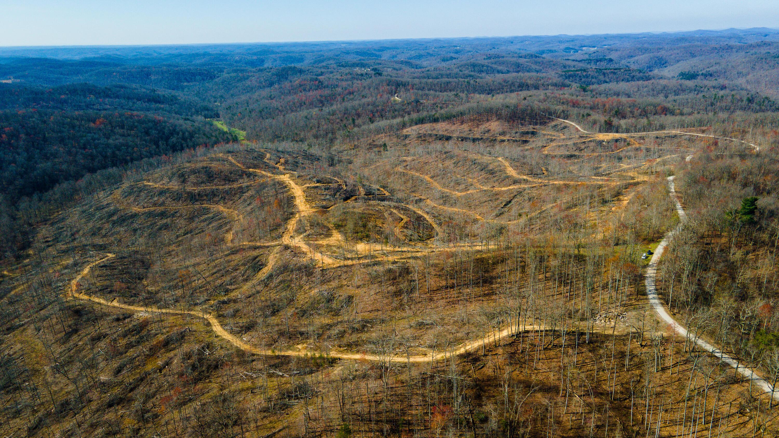 Image 4: Rockcastle Plot-02