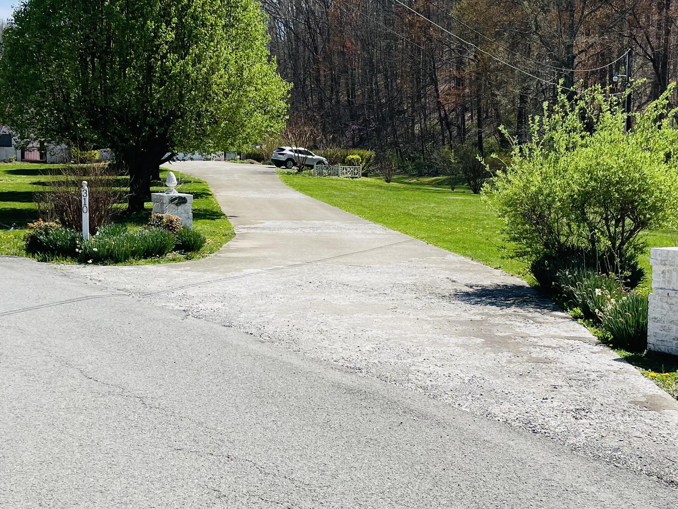 Image 2: Driveway