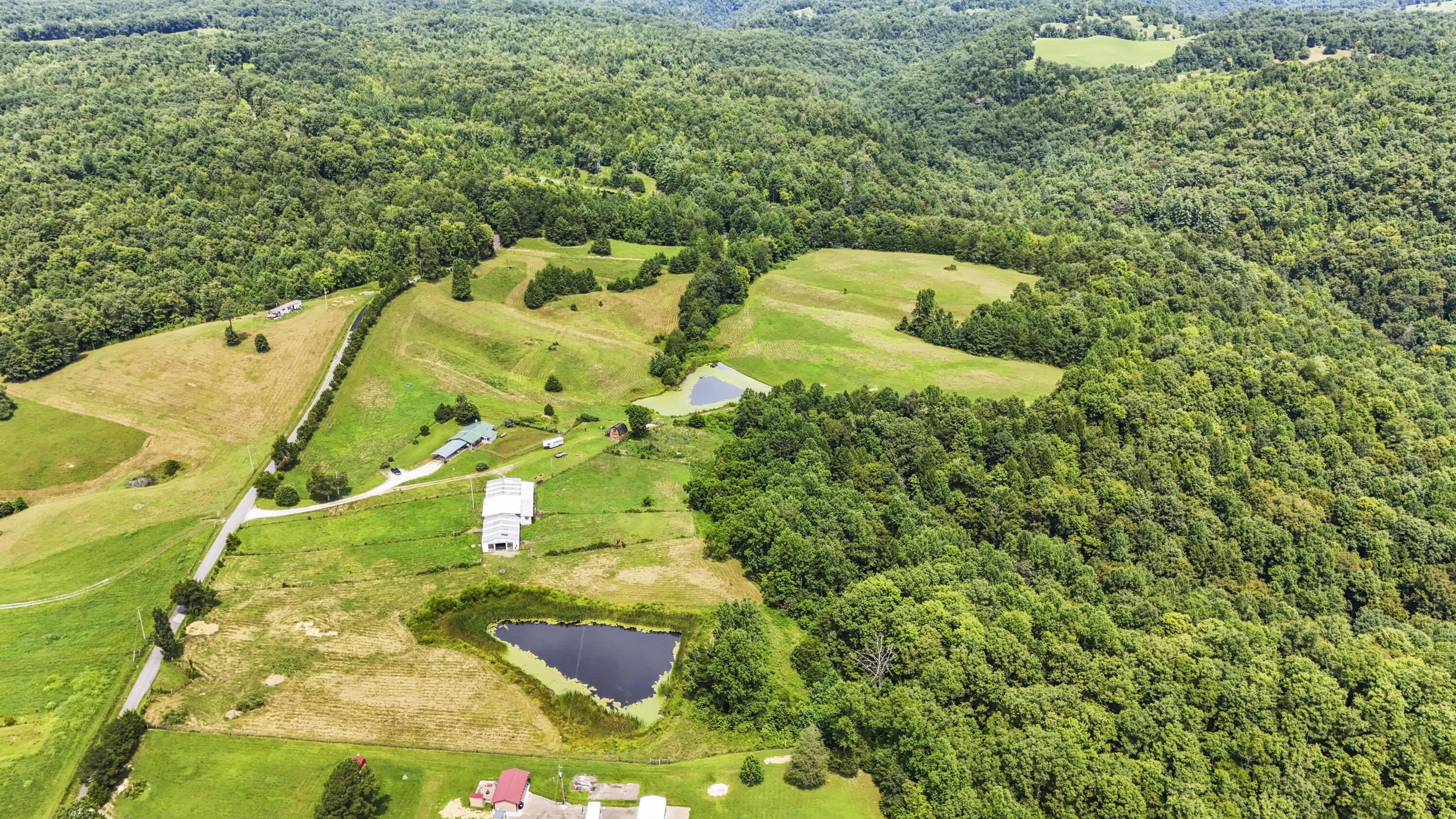 Image 2: DJI_20250806135412_0043_D