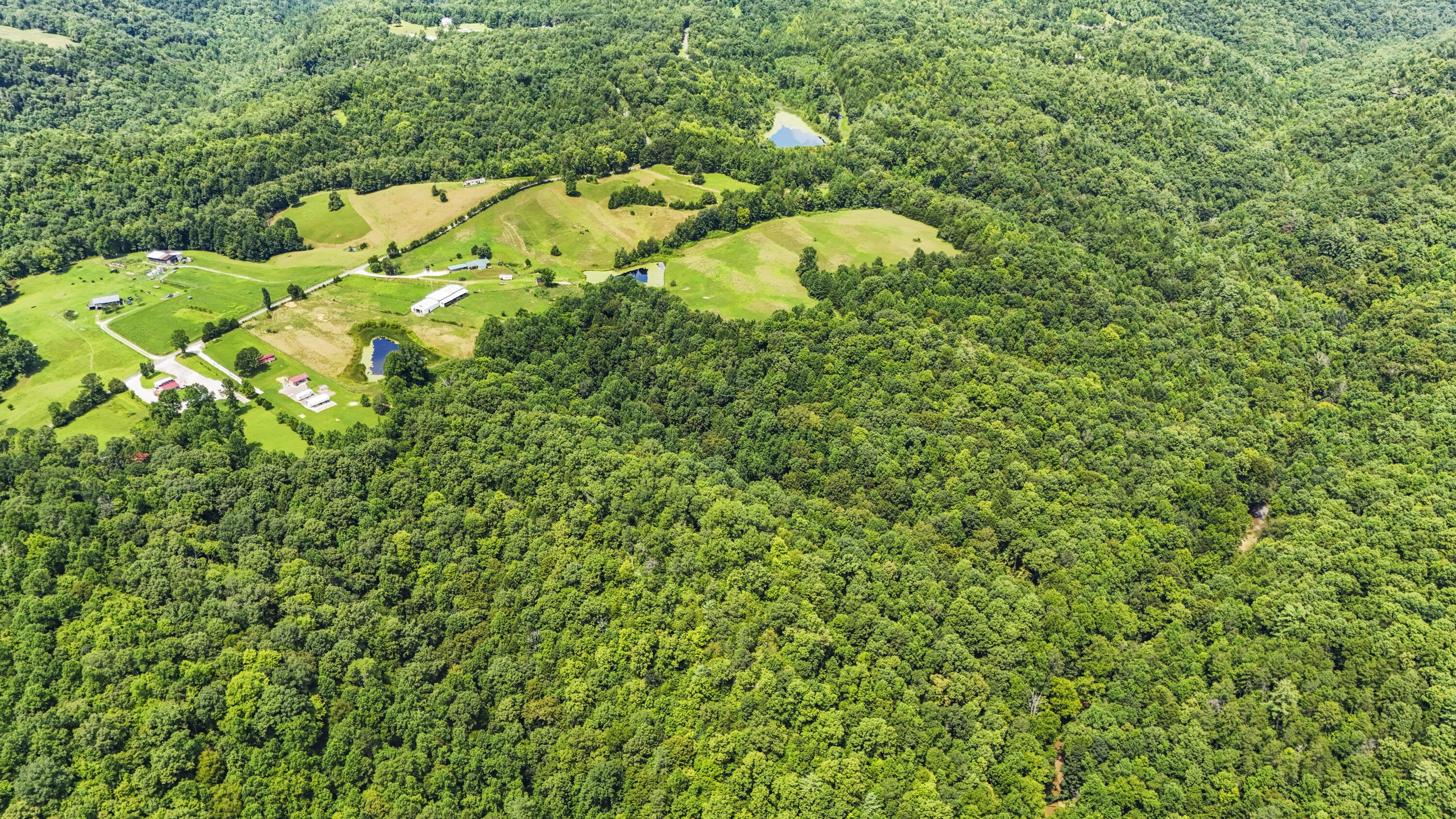 Image 3: DJI_20250806135515_0046_D