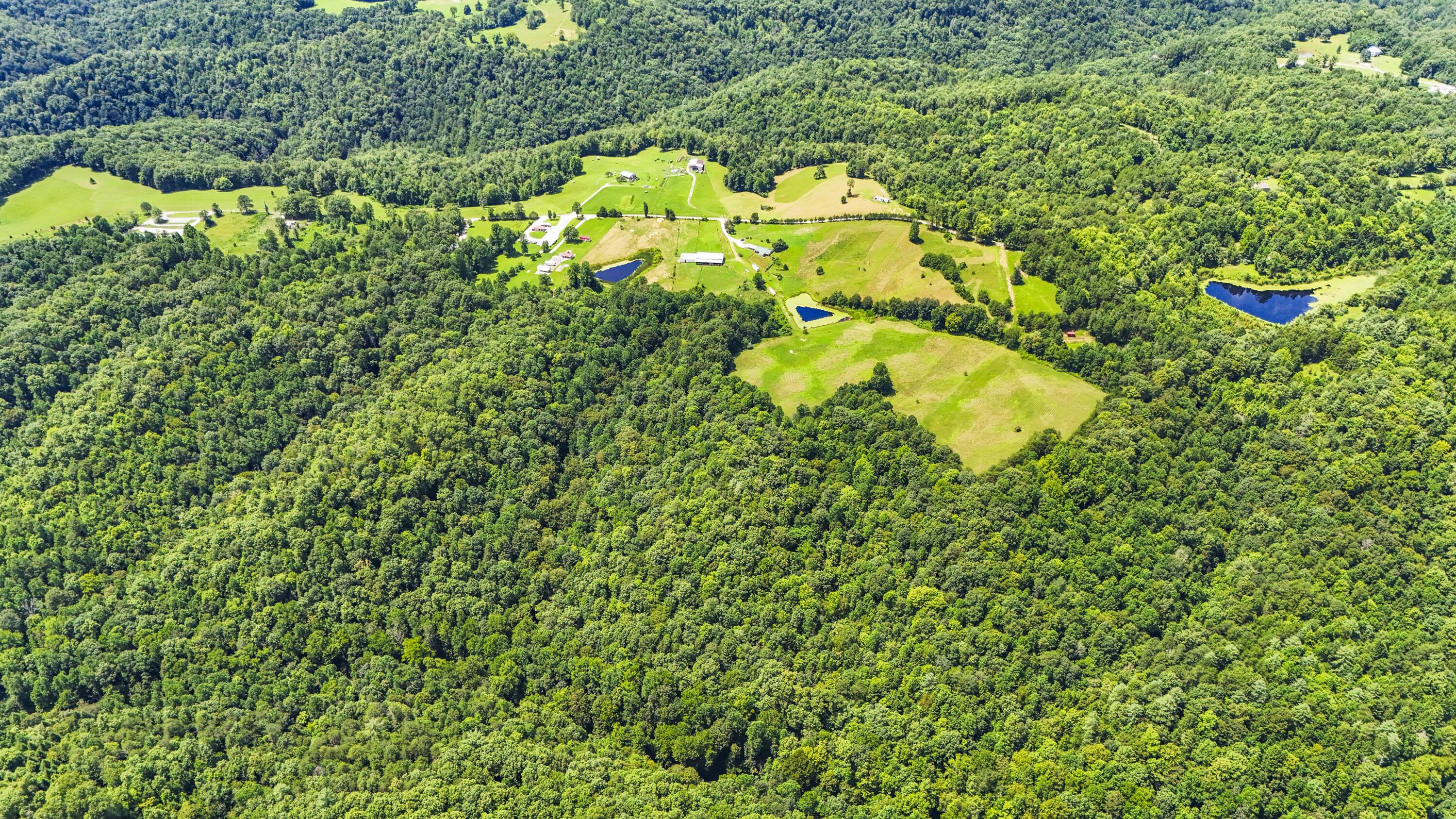 Image 4: DJI_20250806135702_0049_D