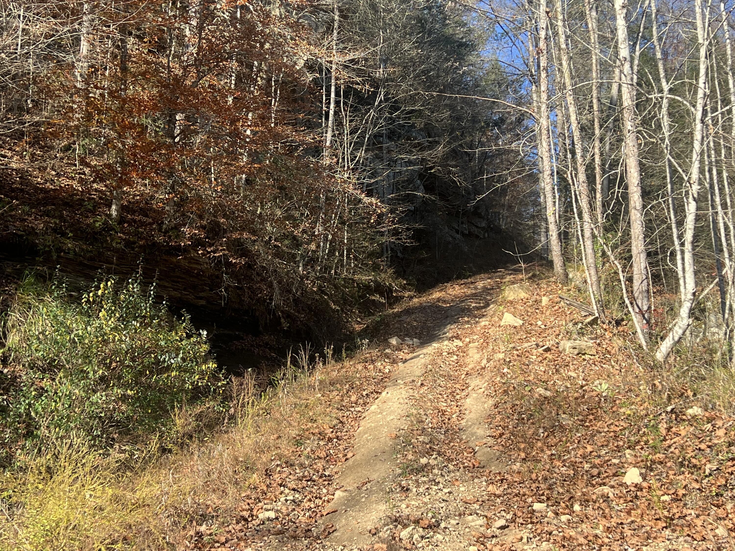 Image 4: IMG_4516