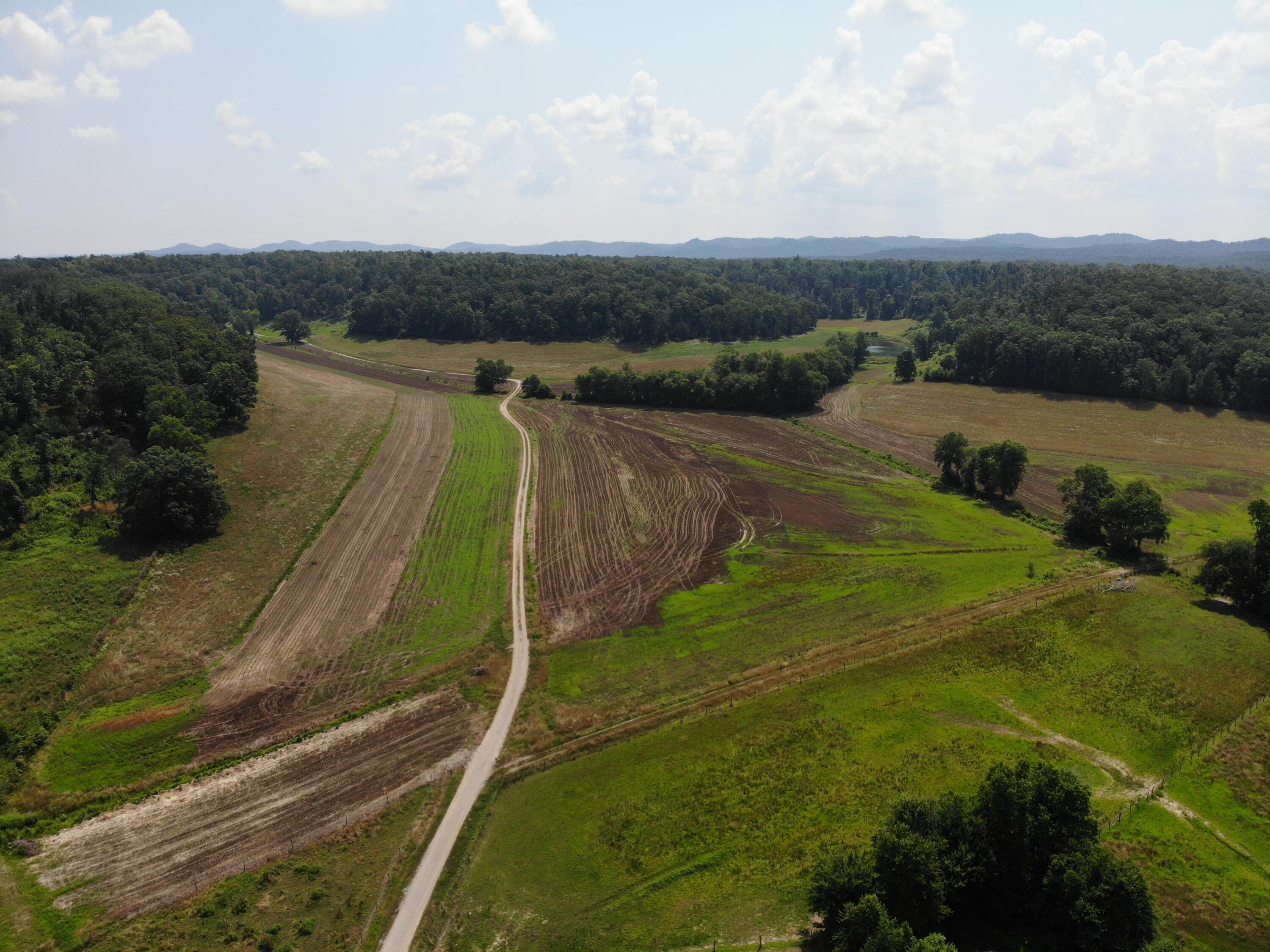 Image 3: DJI_0077