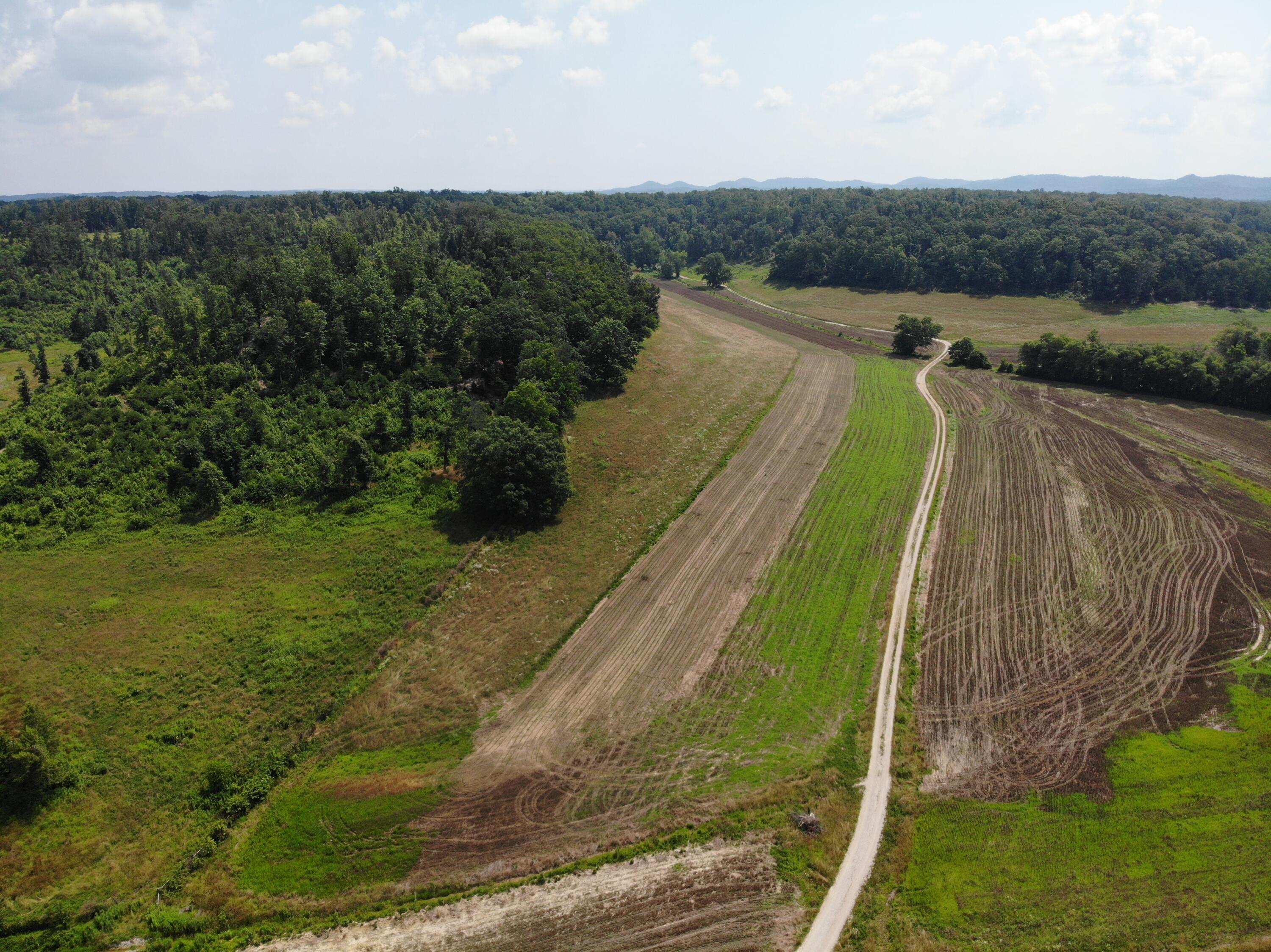 Image 4: DJI_0078