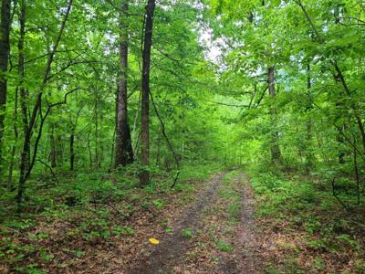 690 Adams Cemetery Road