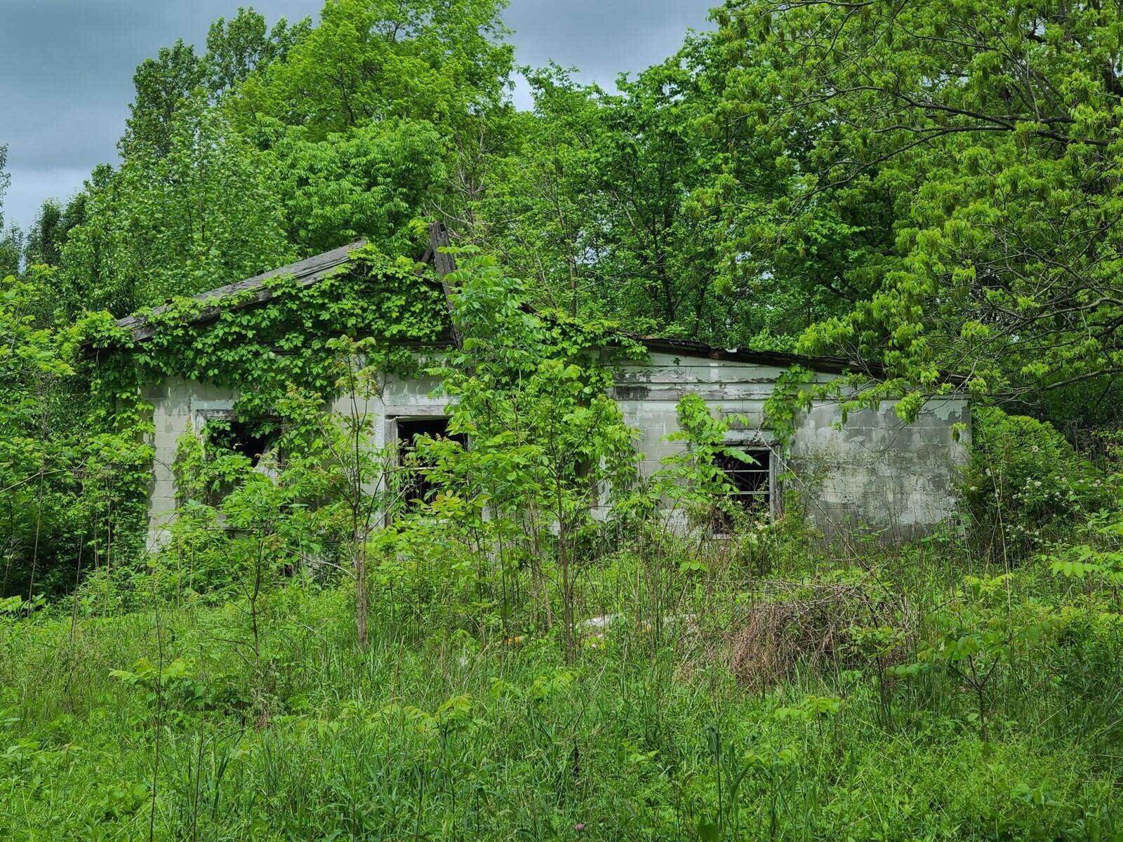 Image 2: Land for sale Casey County