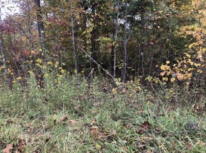 Lot #8 Buck Creek Circle