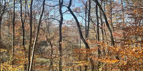 Lot 193 Stillwater