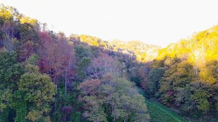 305 Moores Branch Road