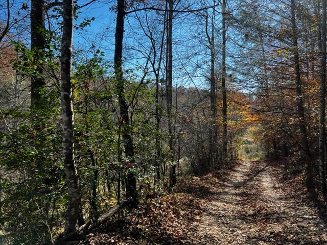 Image 2: Booth Property