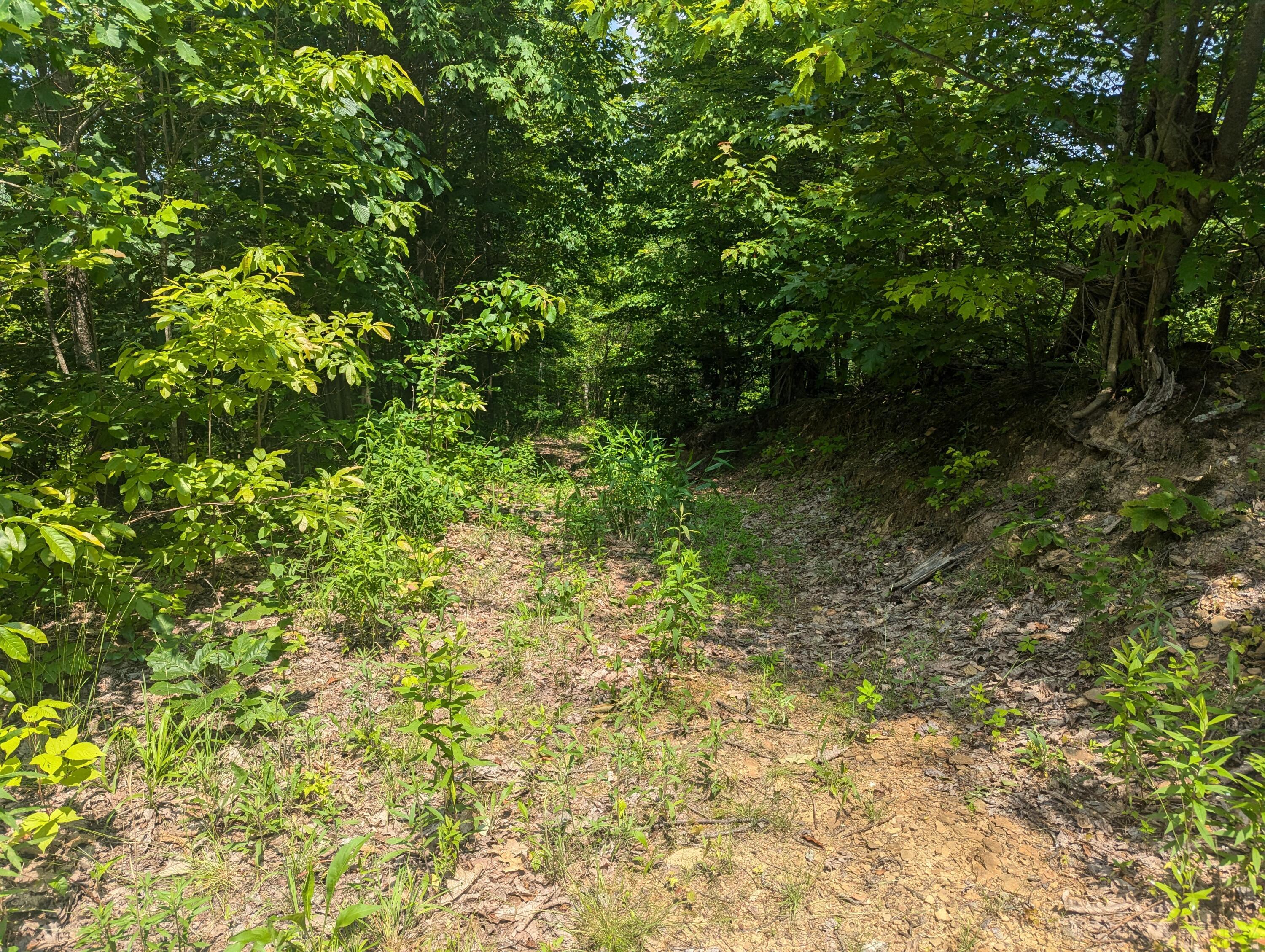 Image 3: 1000014806