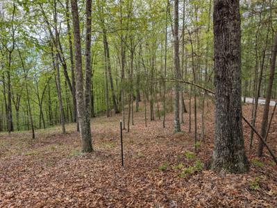 15 Sunrise Mountain Retreat Road