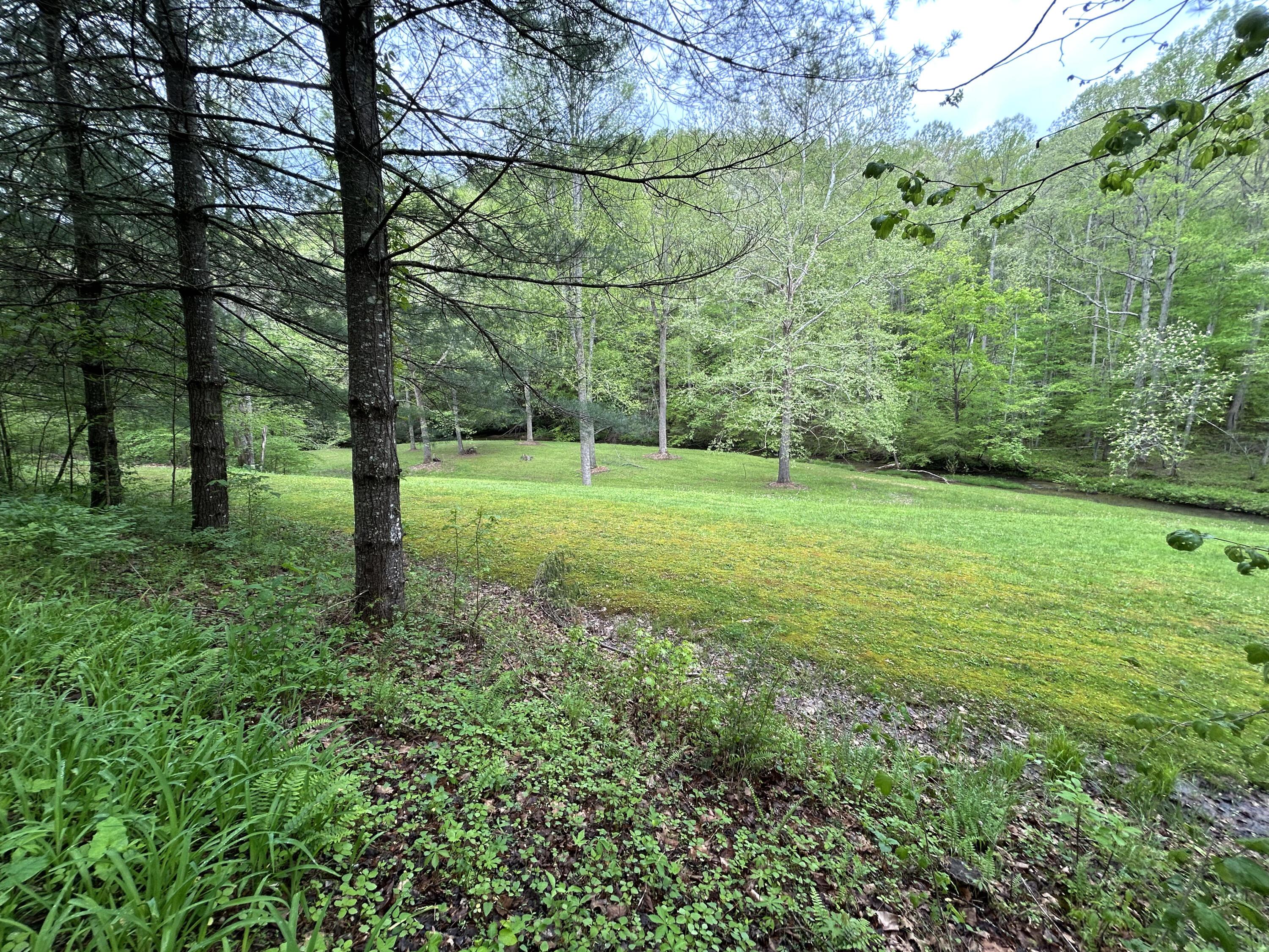 Image 4: IMG_2561