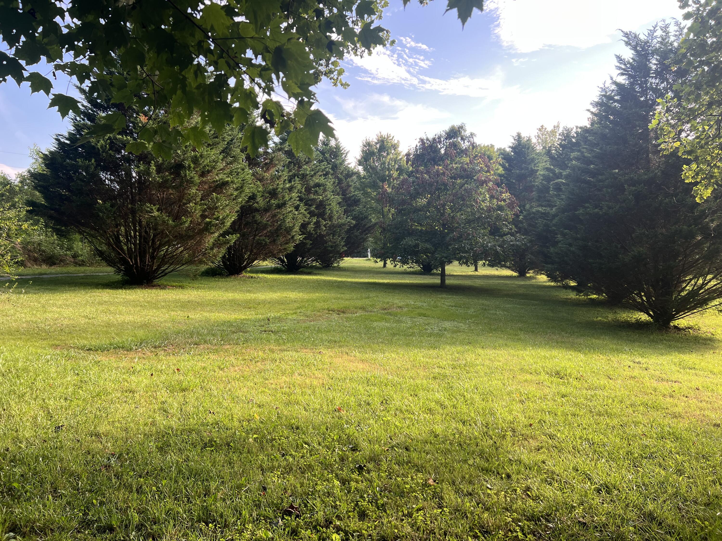 Image 3: IMG_8068