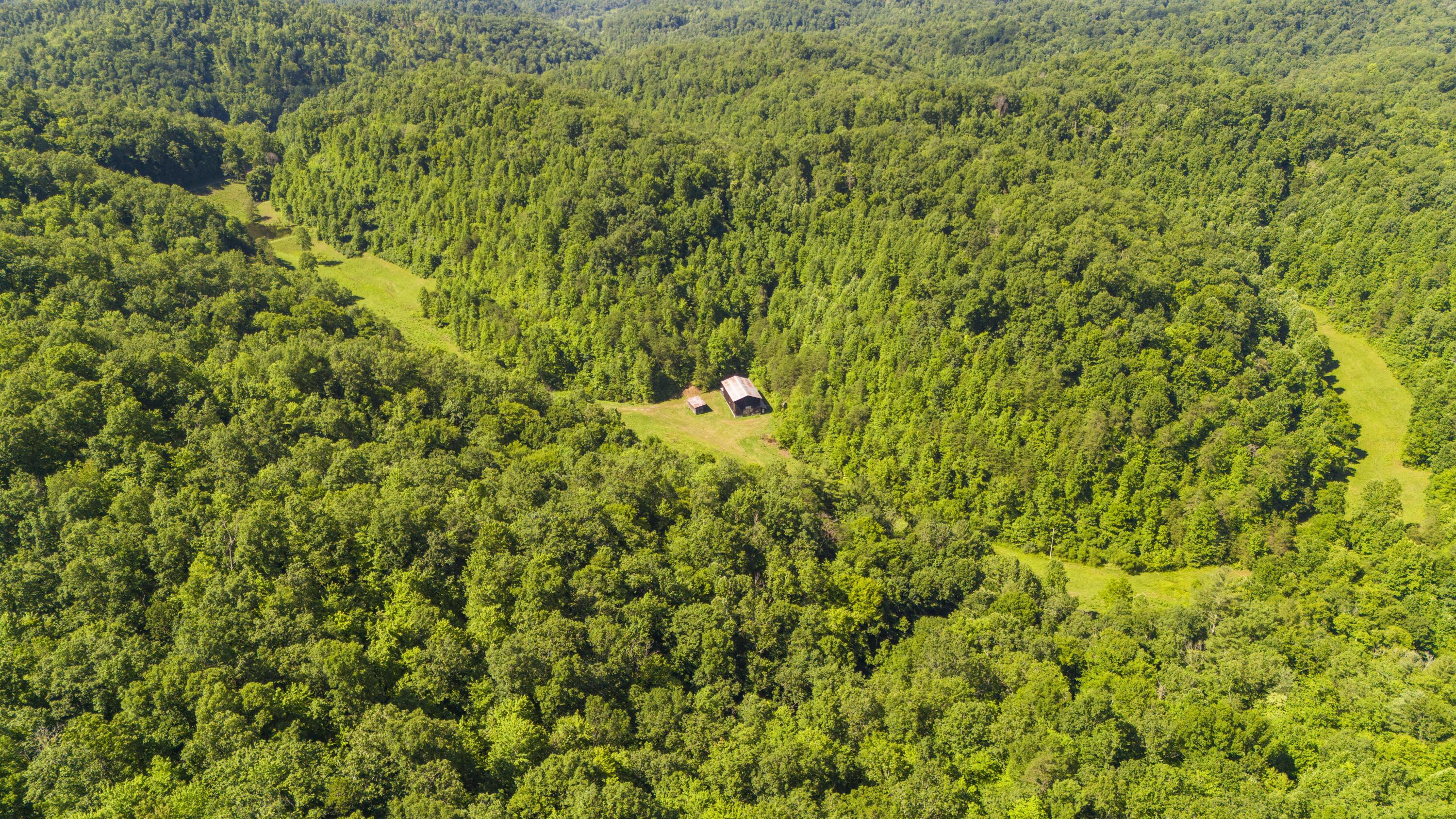 Image 4: DJI_20240627105446_0019_D