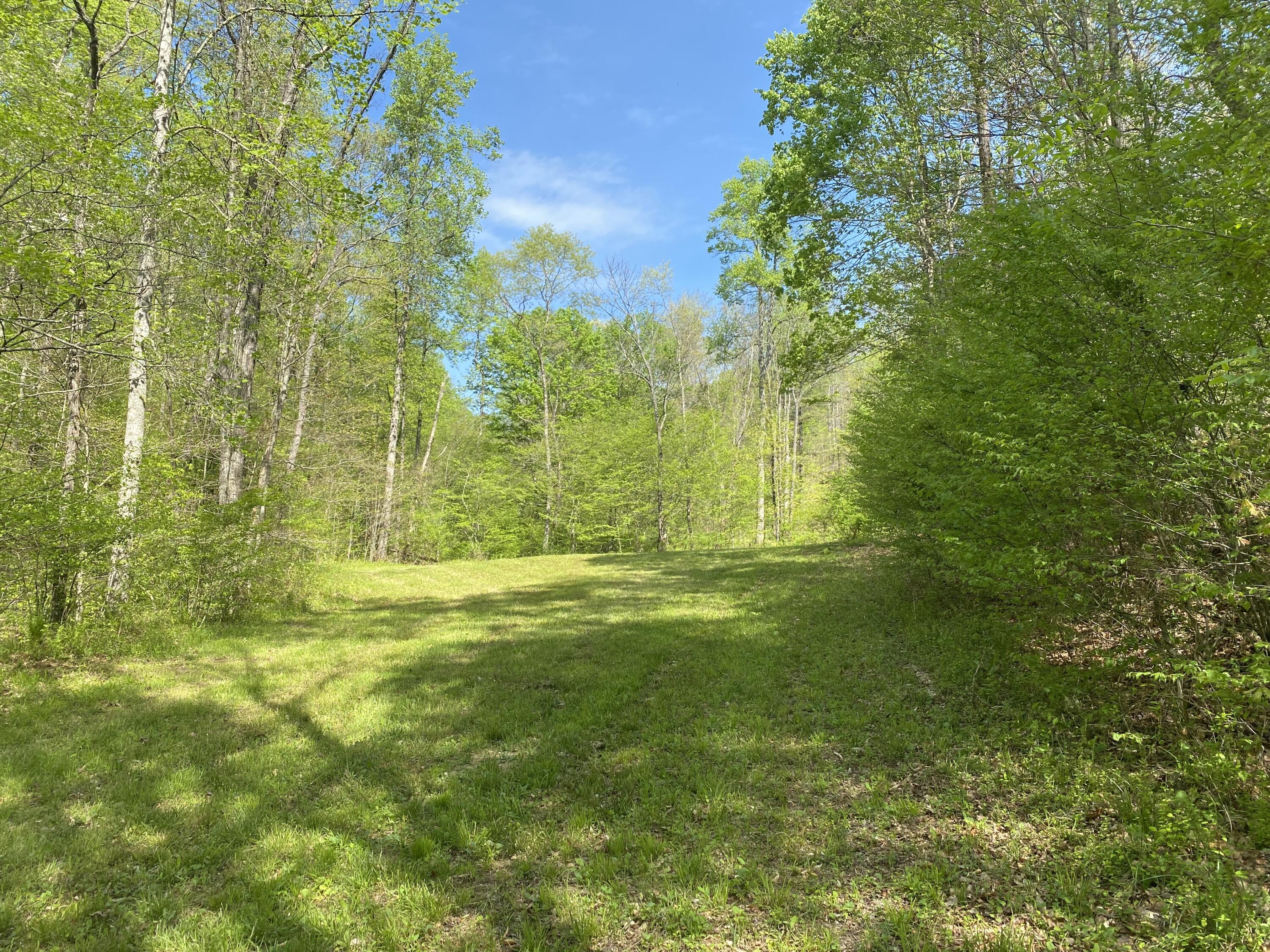Image 2: 002 view of one of the fields in the bot