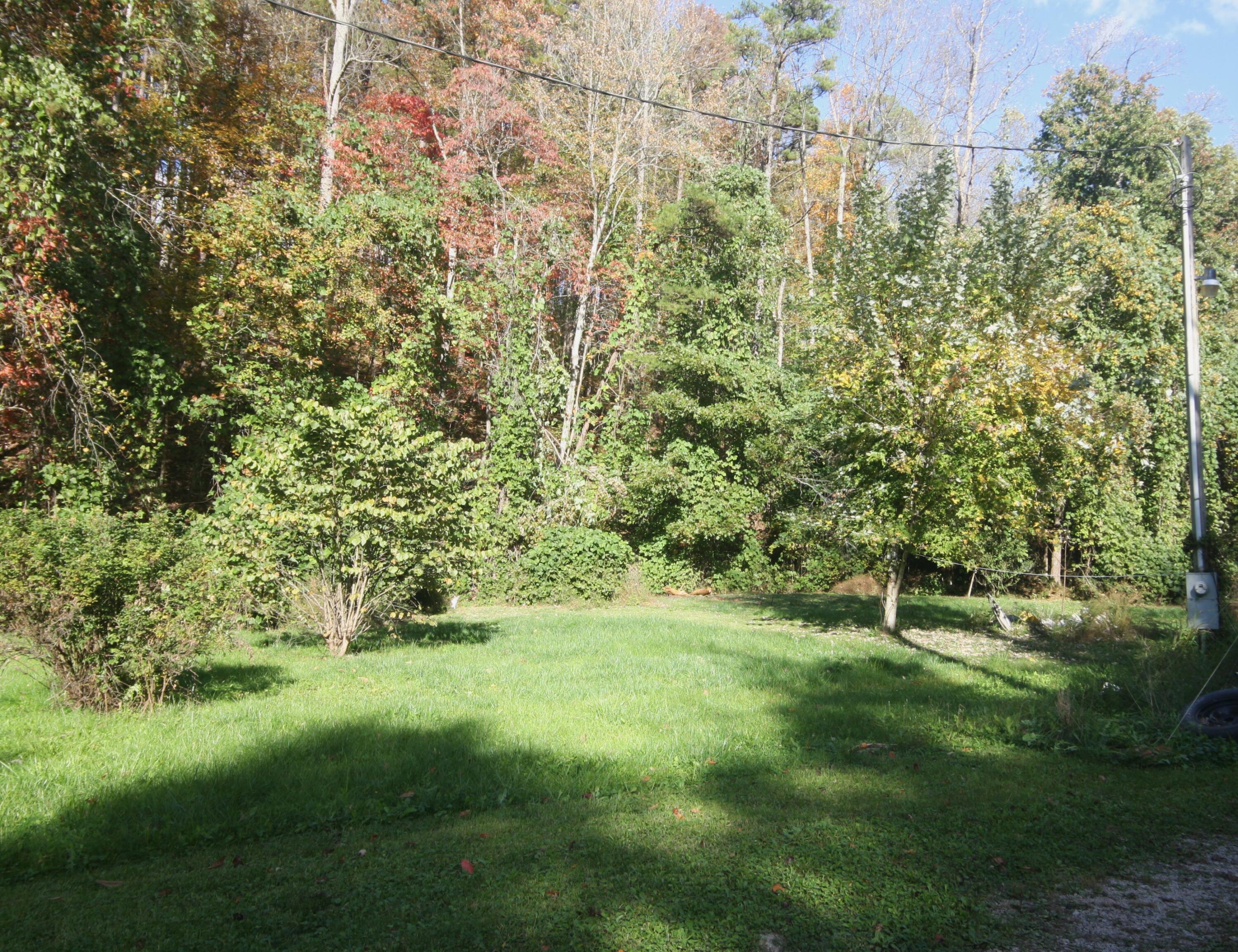 Image 3: IMG_7754