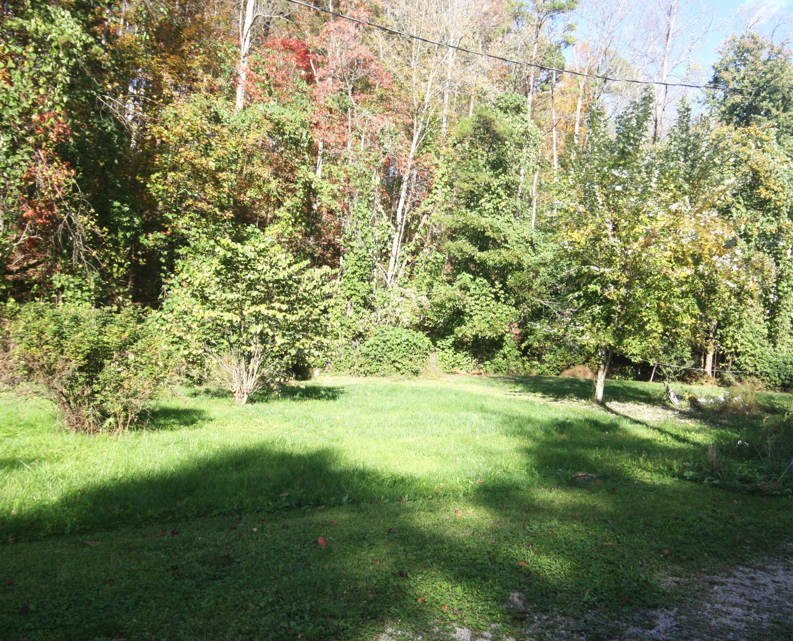 Image 4: IMG_7755