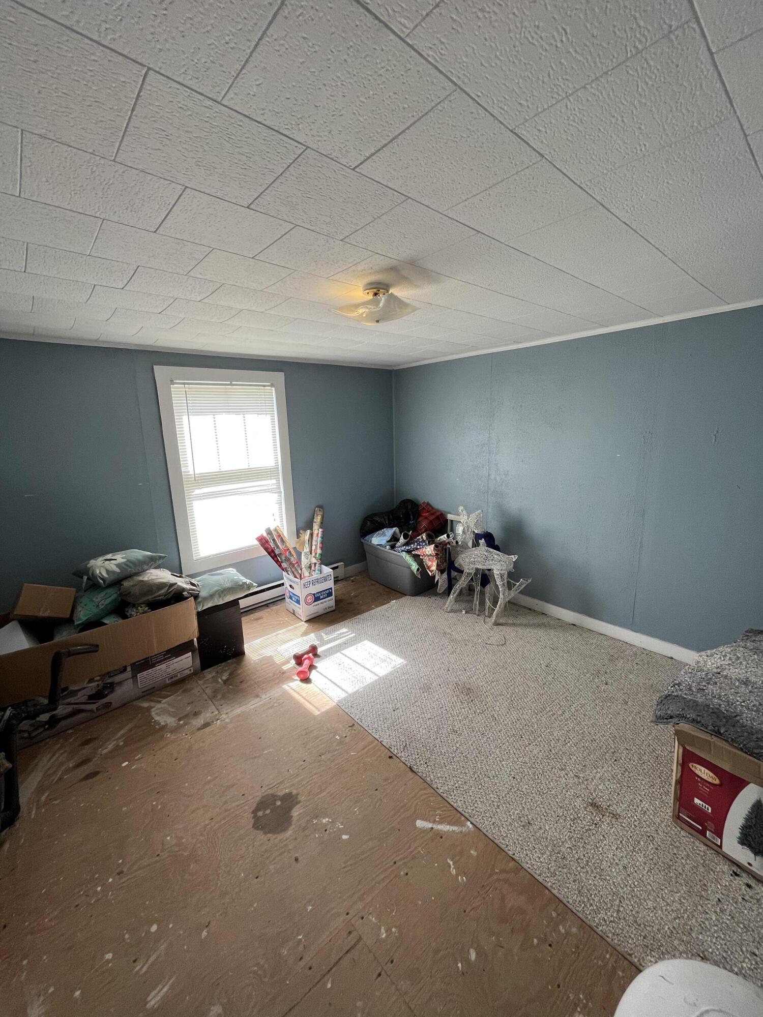 Image 4: D4B078F0-9FA0-4BEC-84B7-FB021A1335BC