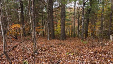 Lot #44 The Reserve At Cliffview