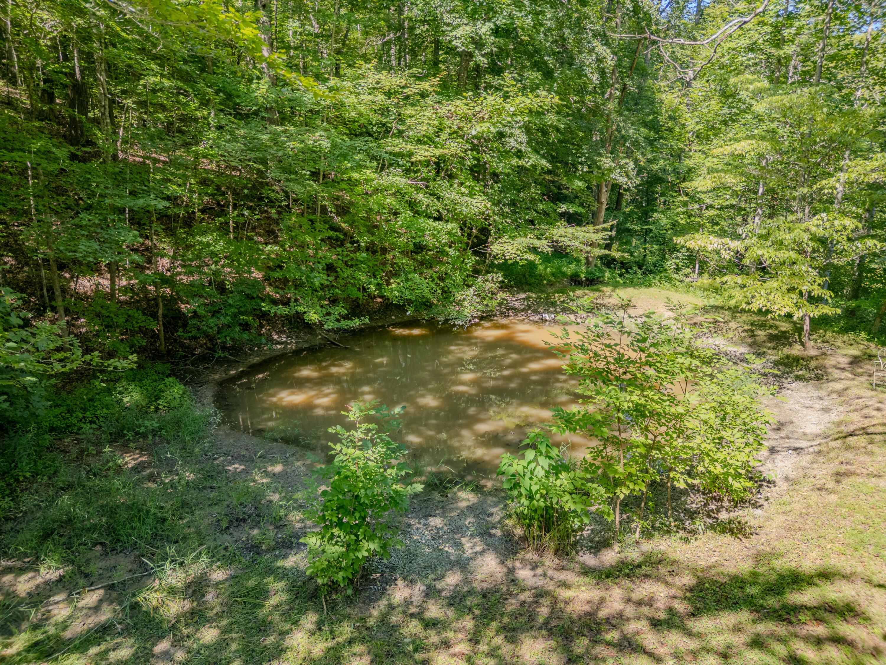 Image 3: 1995LowerCaneCreek-0222