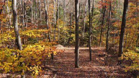 Lot #54 The Reserve At Cliffview