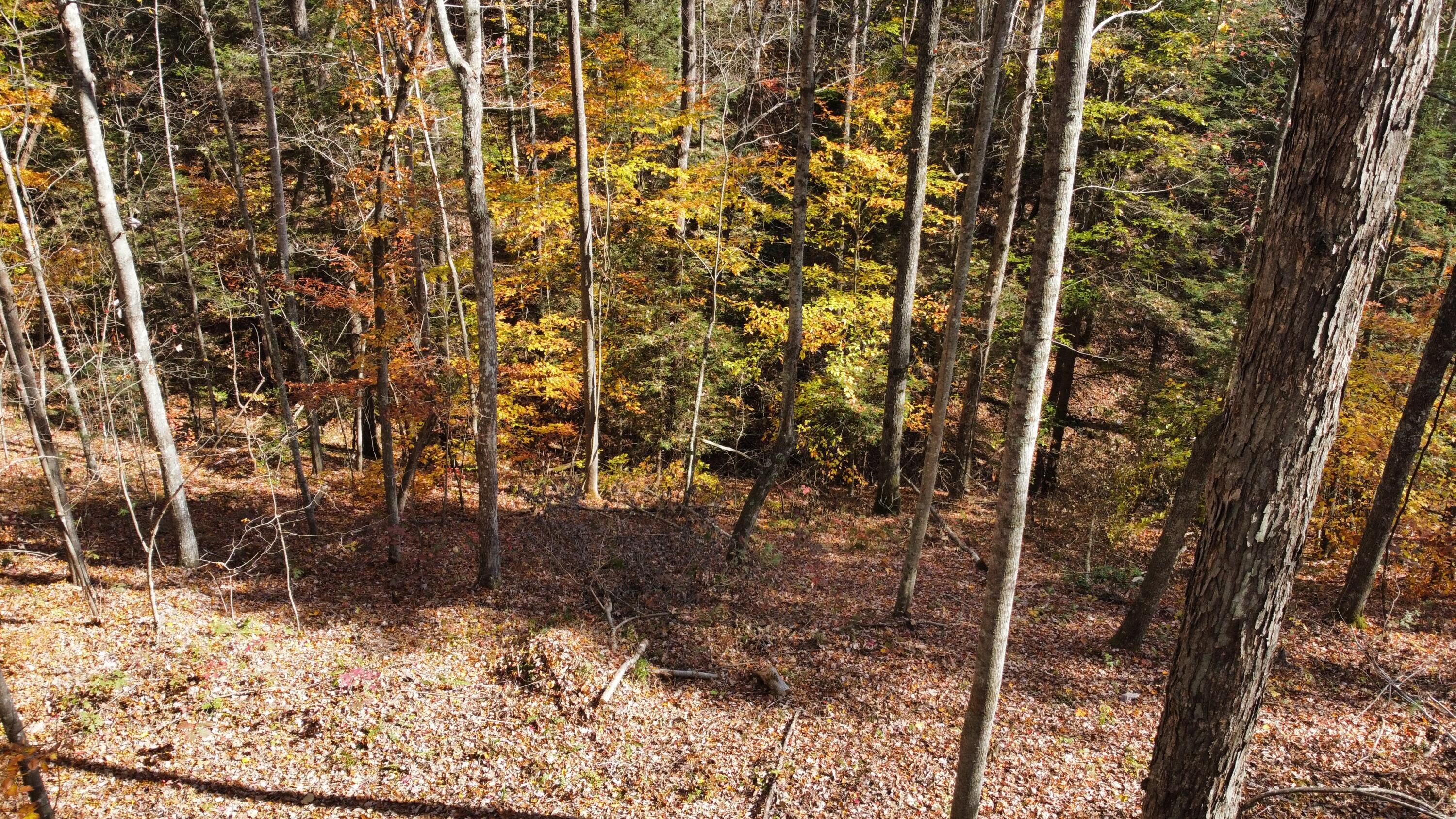 Image 3: dji_fly_20241030_135216_480_173031127569