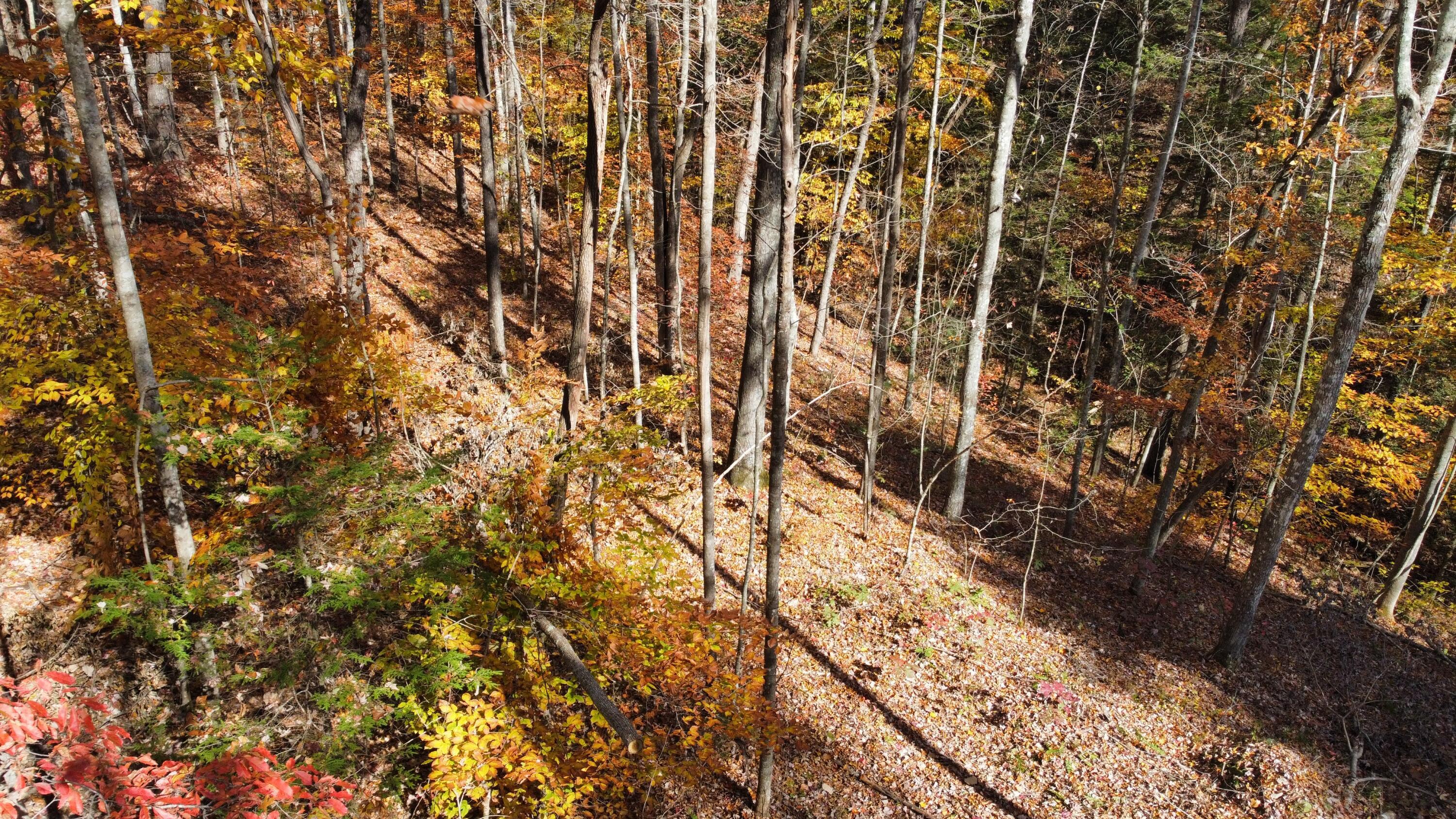 Image 4: dji_fly_20241030_135222_481_173031128181