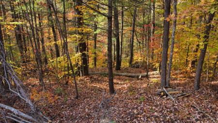 Lot #42 The Reserve At Cliffview