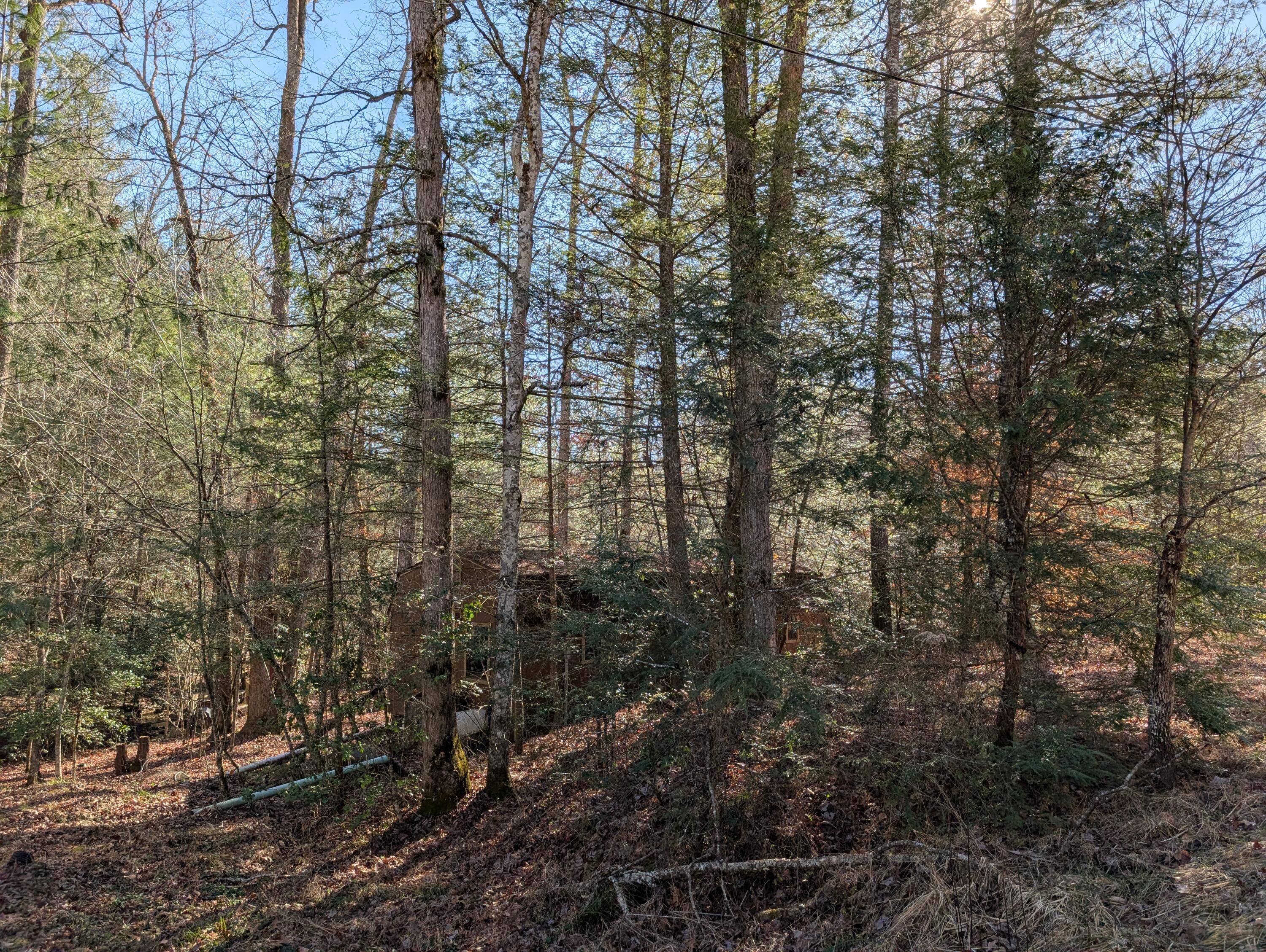 Image 2: PXL_20250104_173154898.MP