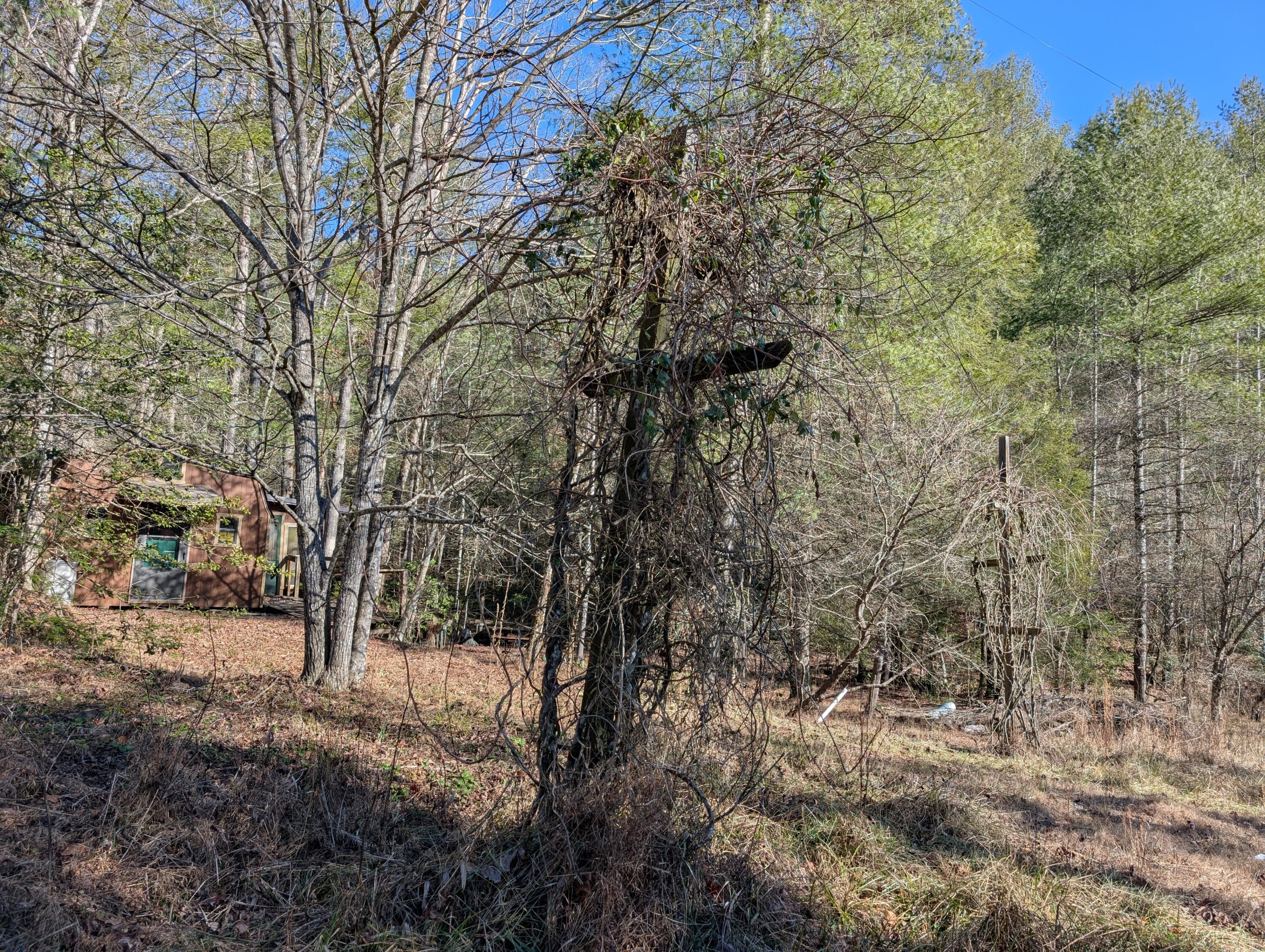 Image 3: PXL_20250104_173234811.MP