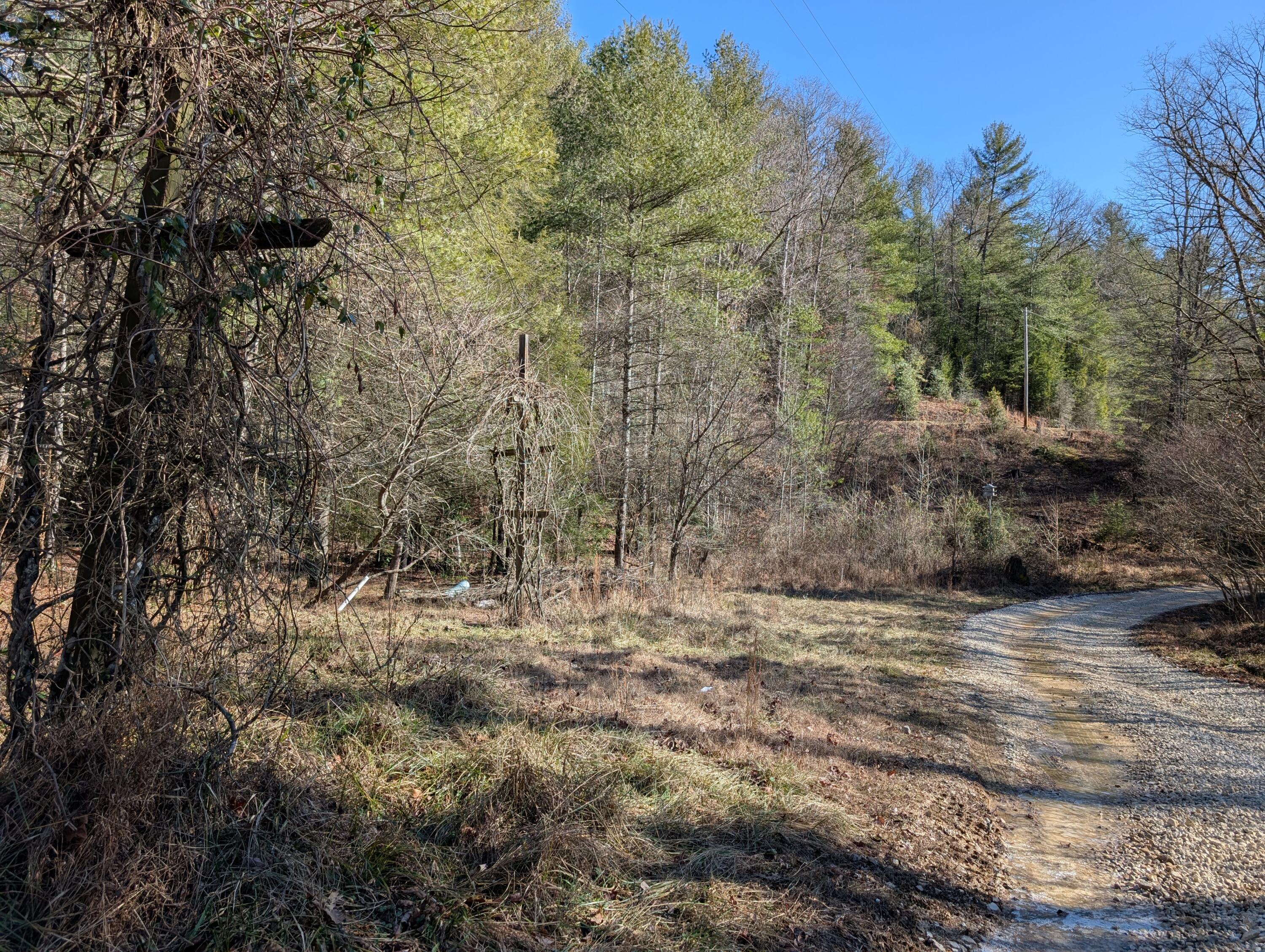 Image 4: PXL_20250104_173240508.MP