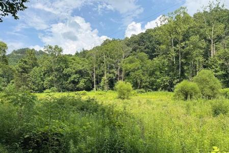 00 Meyers Fork Road