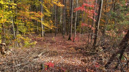 Lot #55 The Reserve At Cliffview