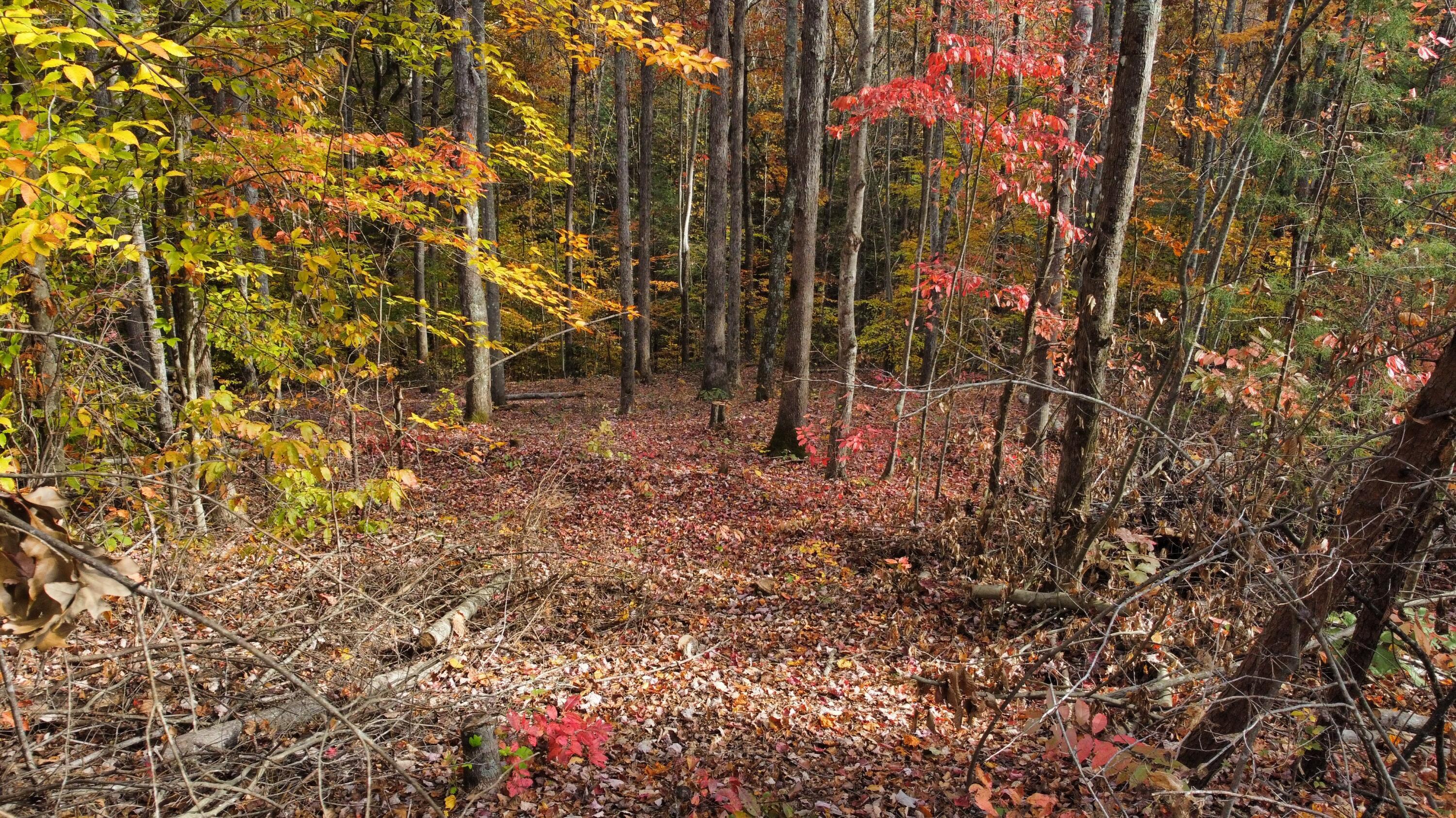 Image 1: dji_fly_20241028_152006_432_173014400107