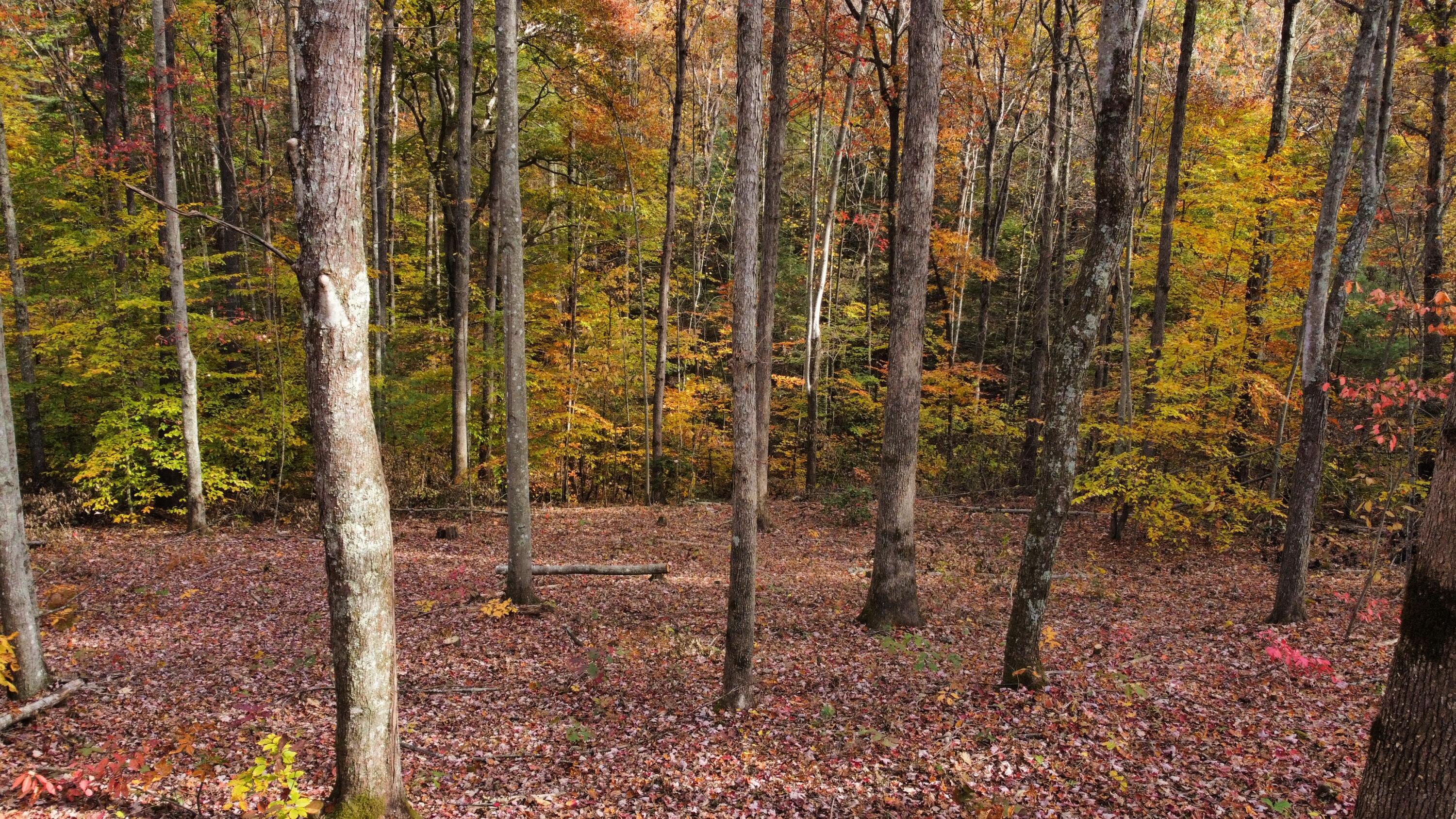 Image 4: dji_fly_20241028_152038_435_173014400967