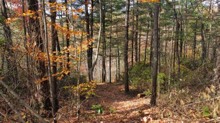 Lot #45 The Reserve At Cliffview