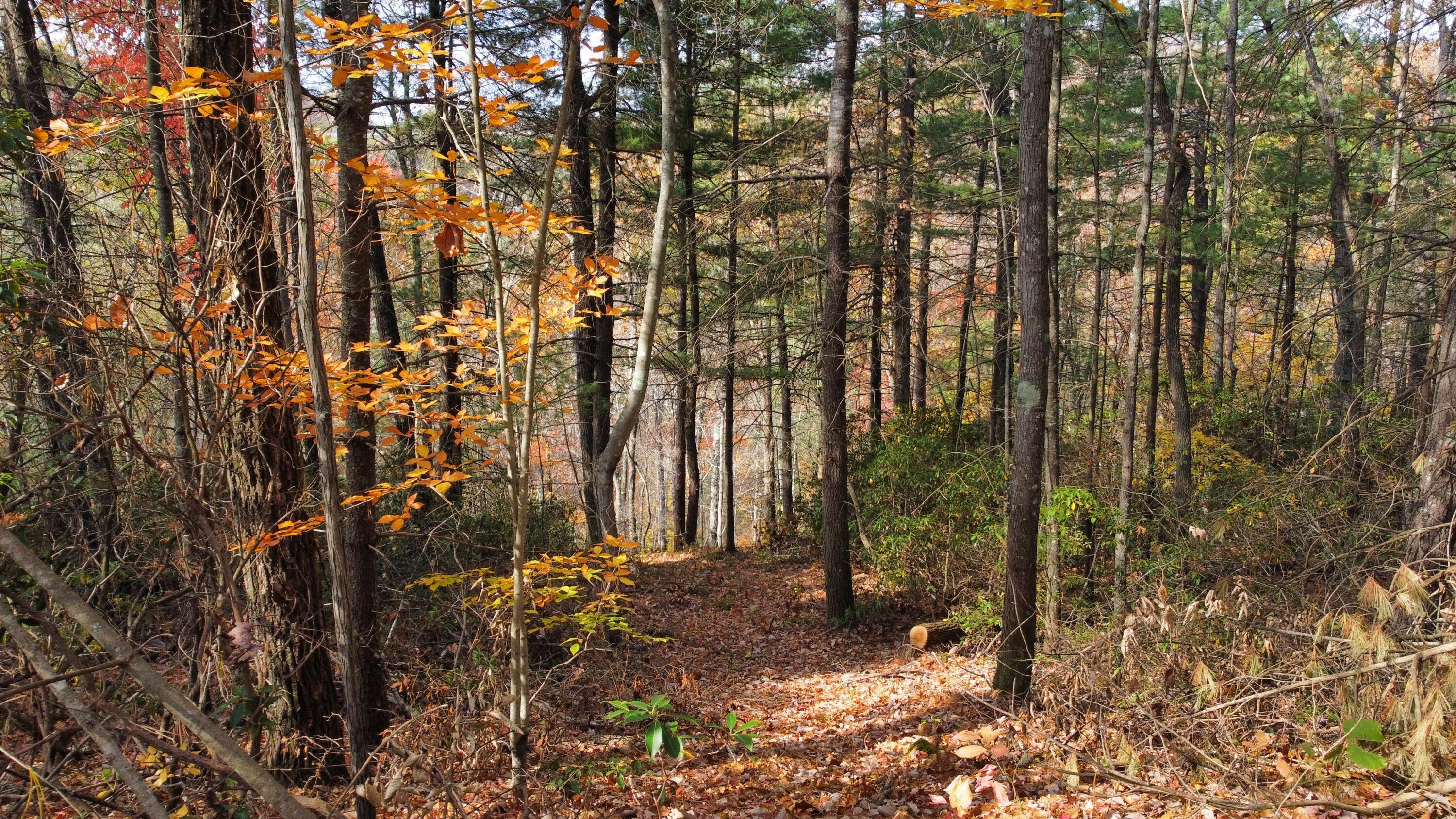 Image 1: dji_fly_20241031_130448_538_173039475025